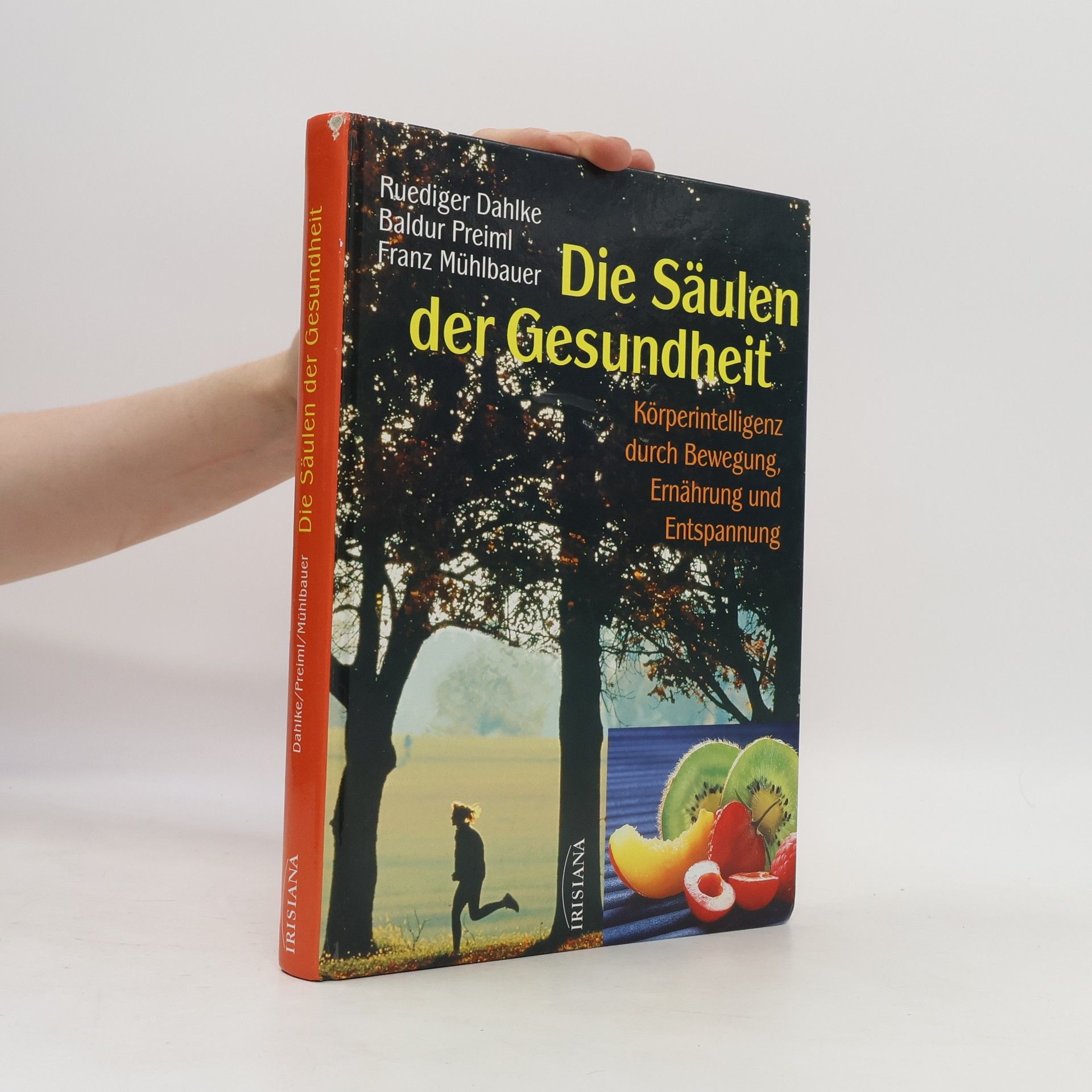 Ruediger Dahlke Die Säulen der Gesundheit