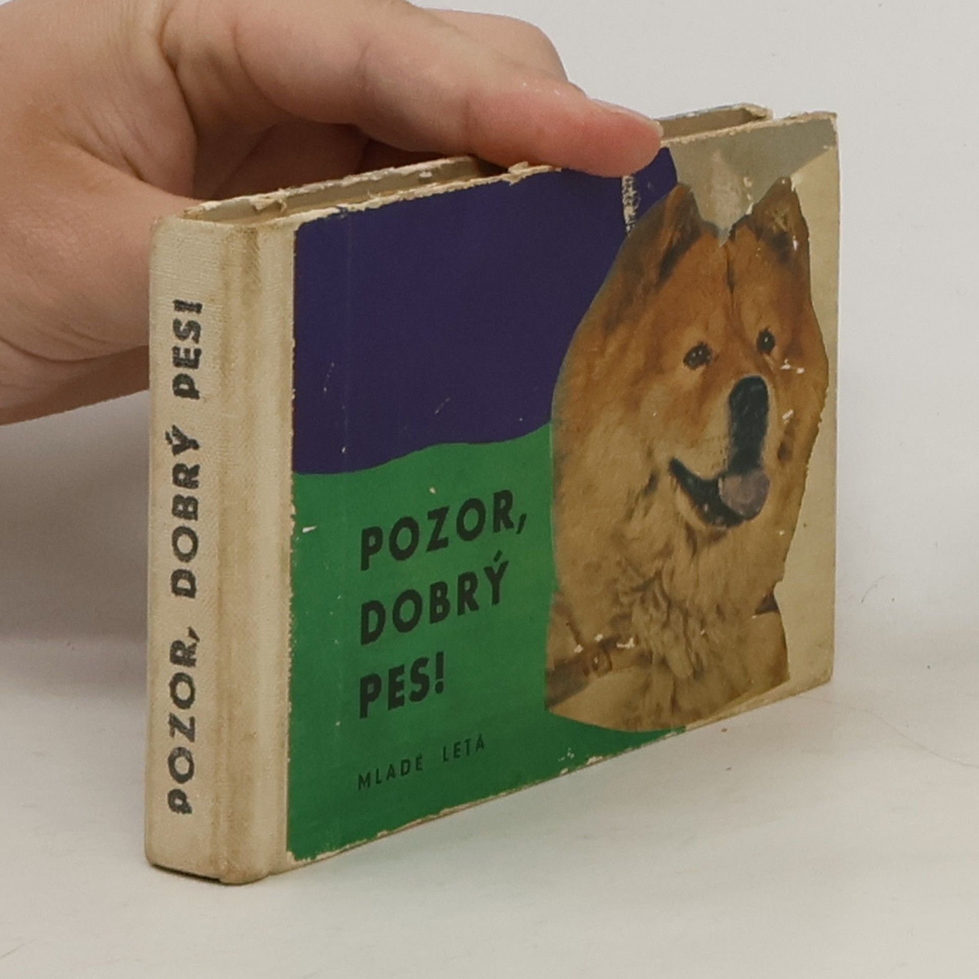 Adrián Zalay Pozor, dobrý pes!