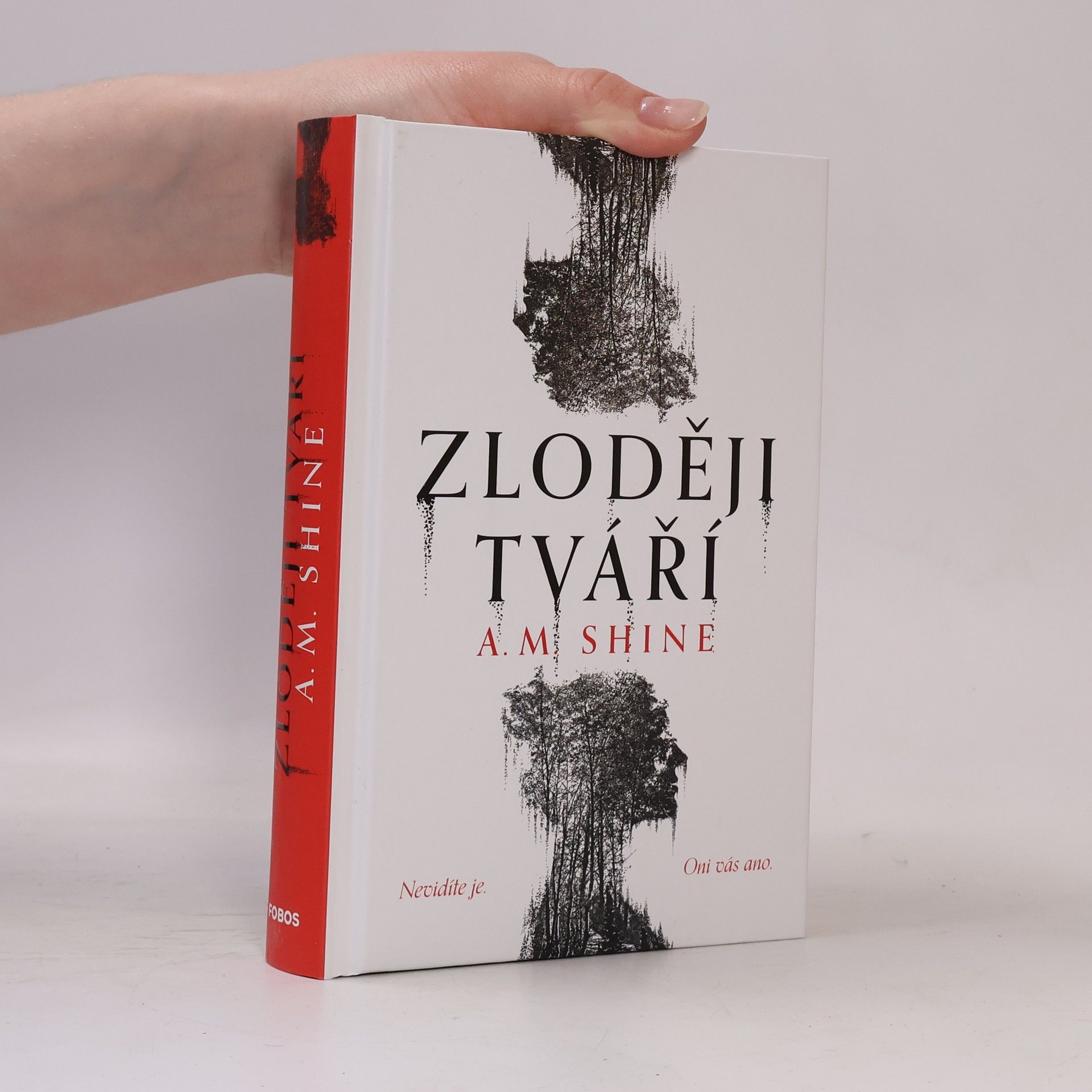 Betty Shine Zloději tváří