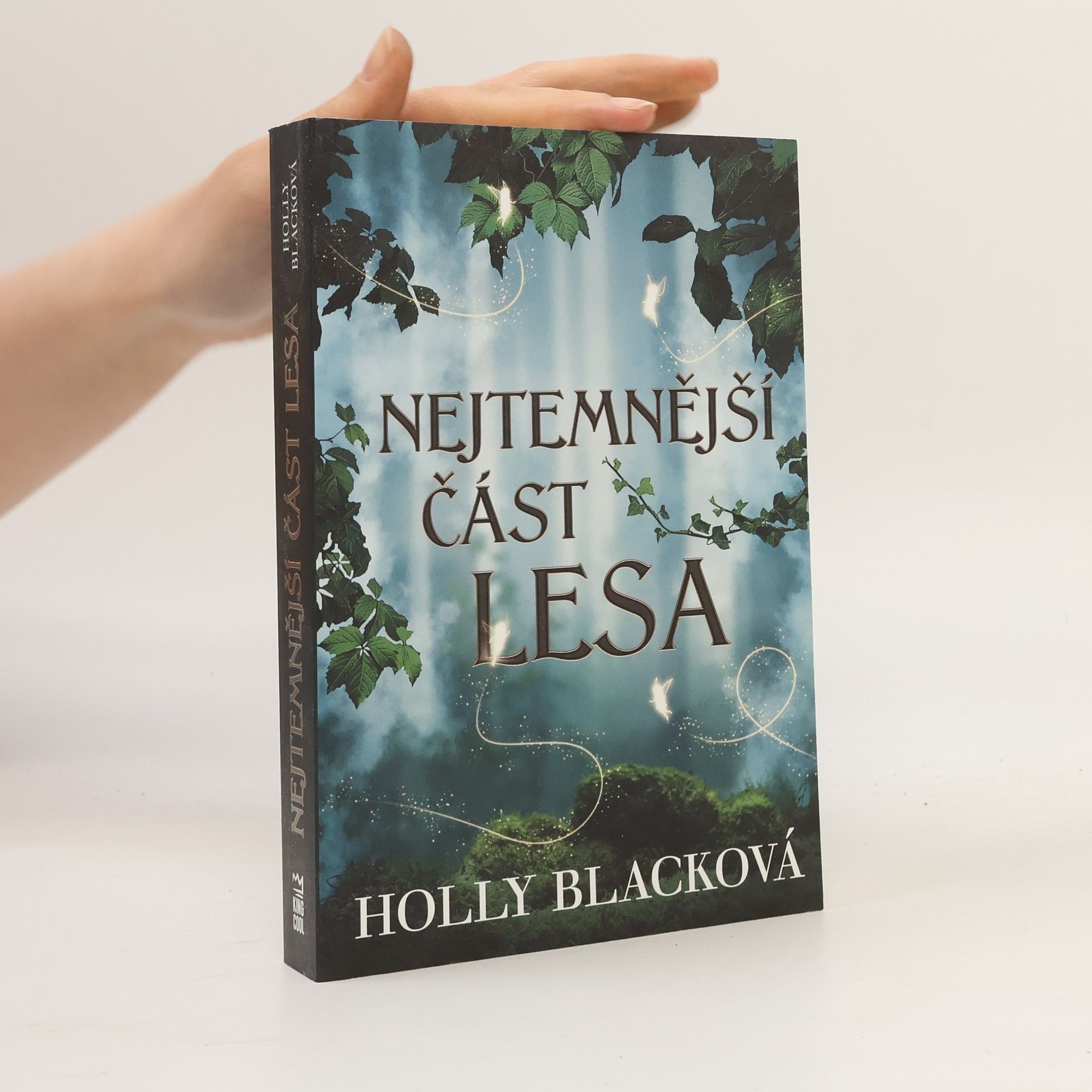 Holly Black Nejtemnější část lesa