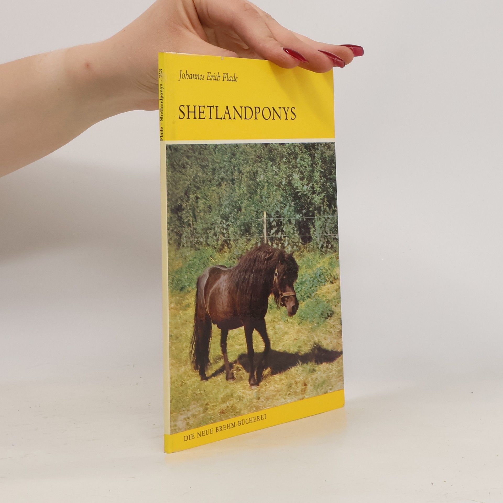 Johannes Erich Flade Shetlandponys