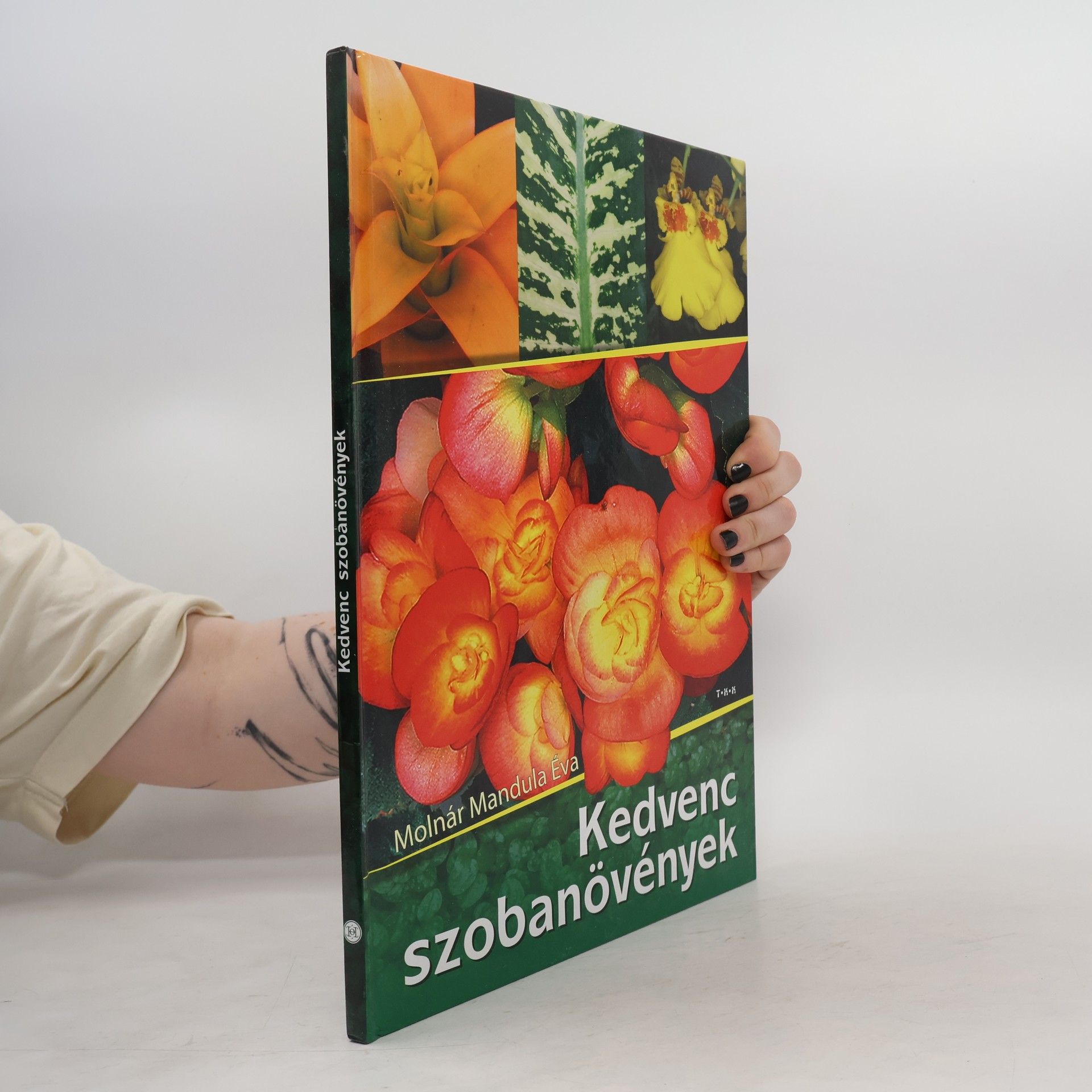 Various authors Kedvenc szobanövények