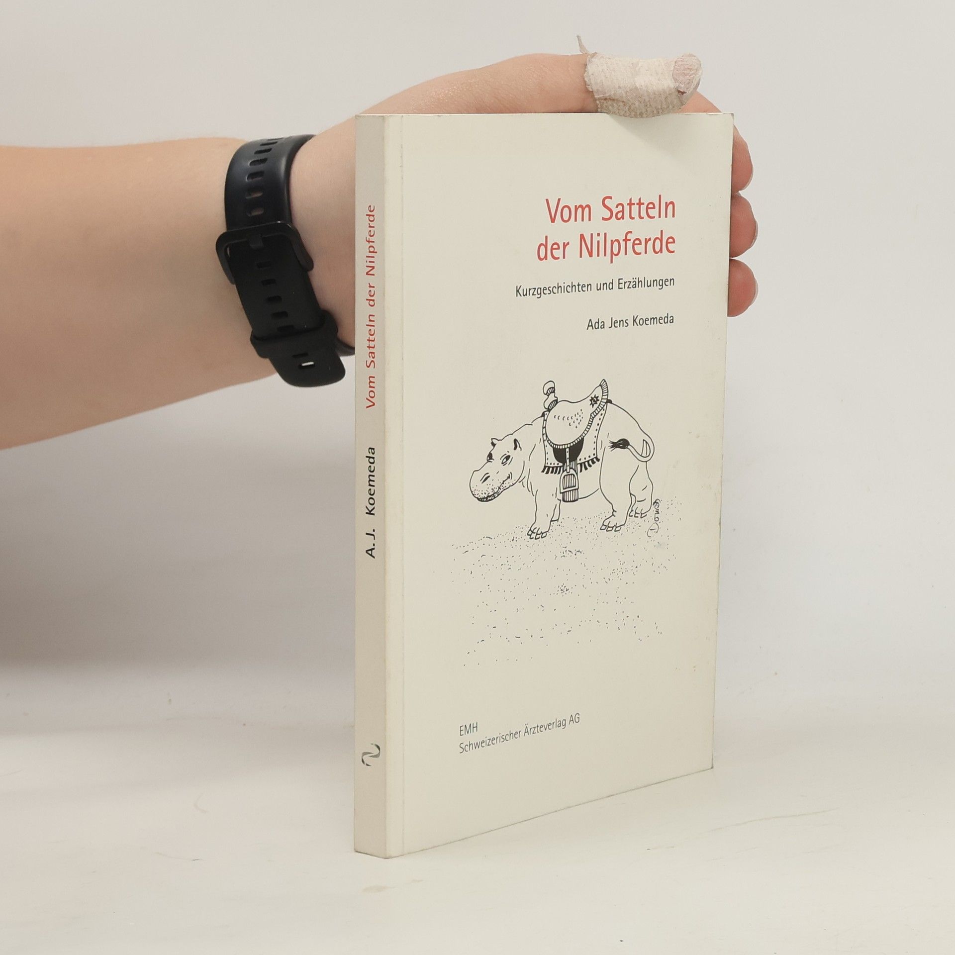 Ada Jens Koemeda Vom Satteln der Nilpferde