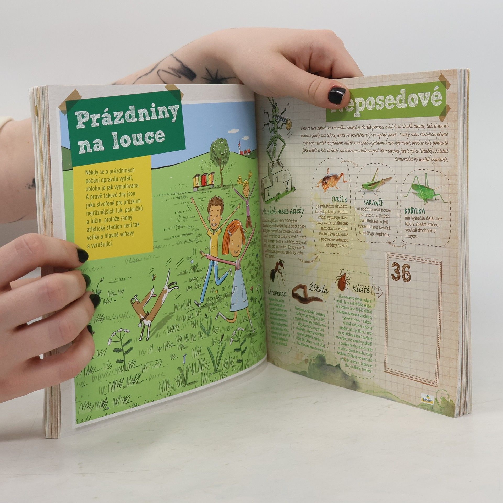 Various authors Prázdniny v jednom kole
