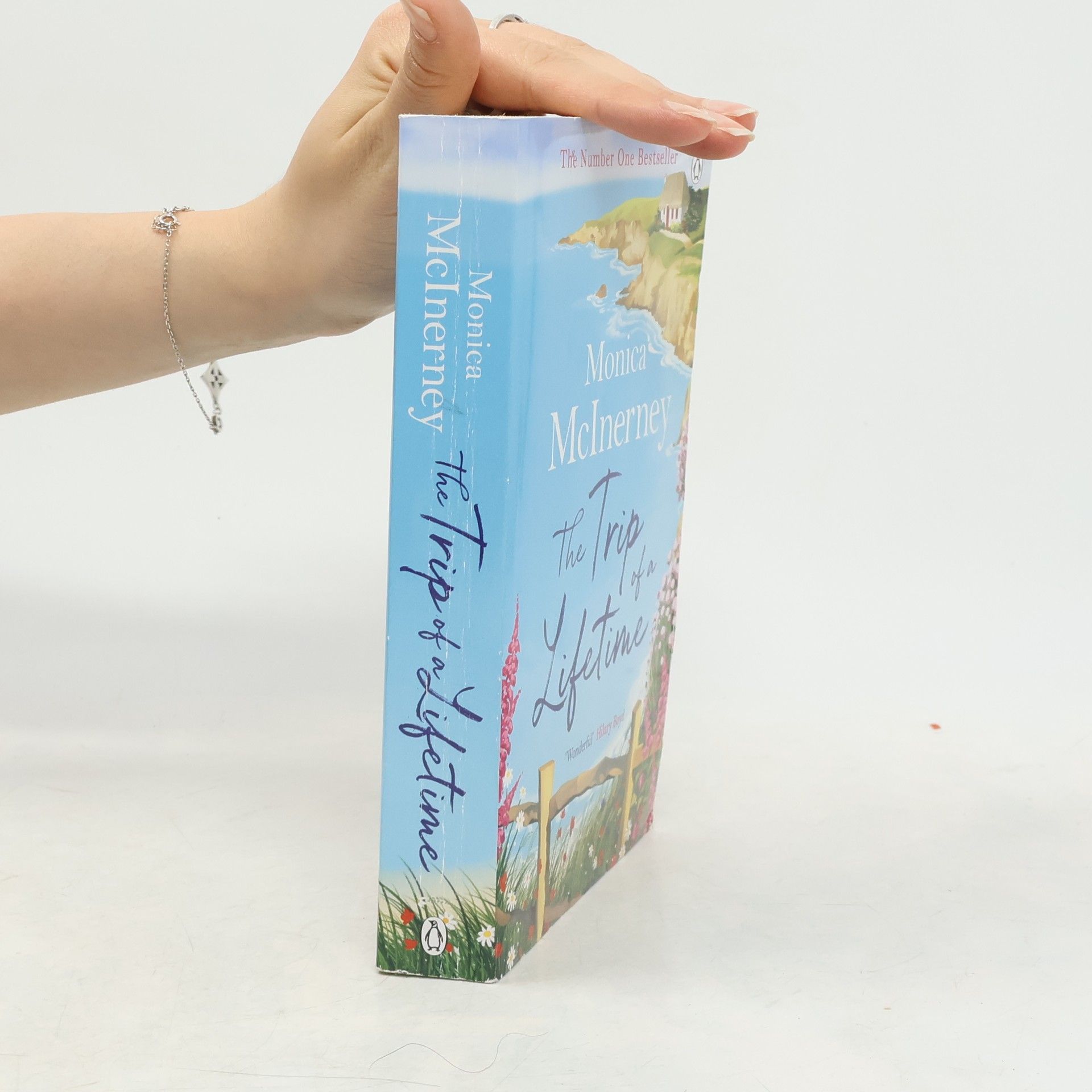 Monica McInerney The Trip of a Lifetime