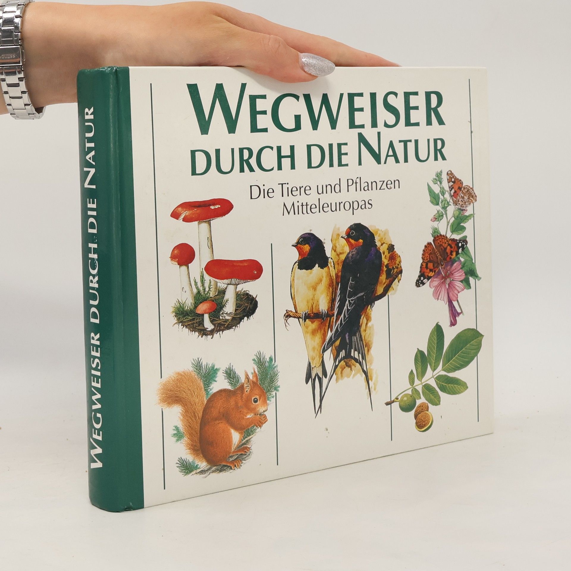 AA.VV. Wegweiser durch die Natur