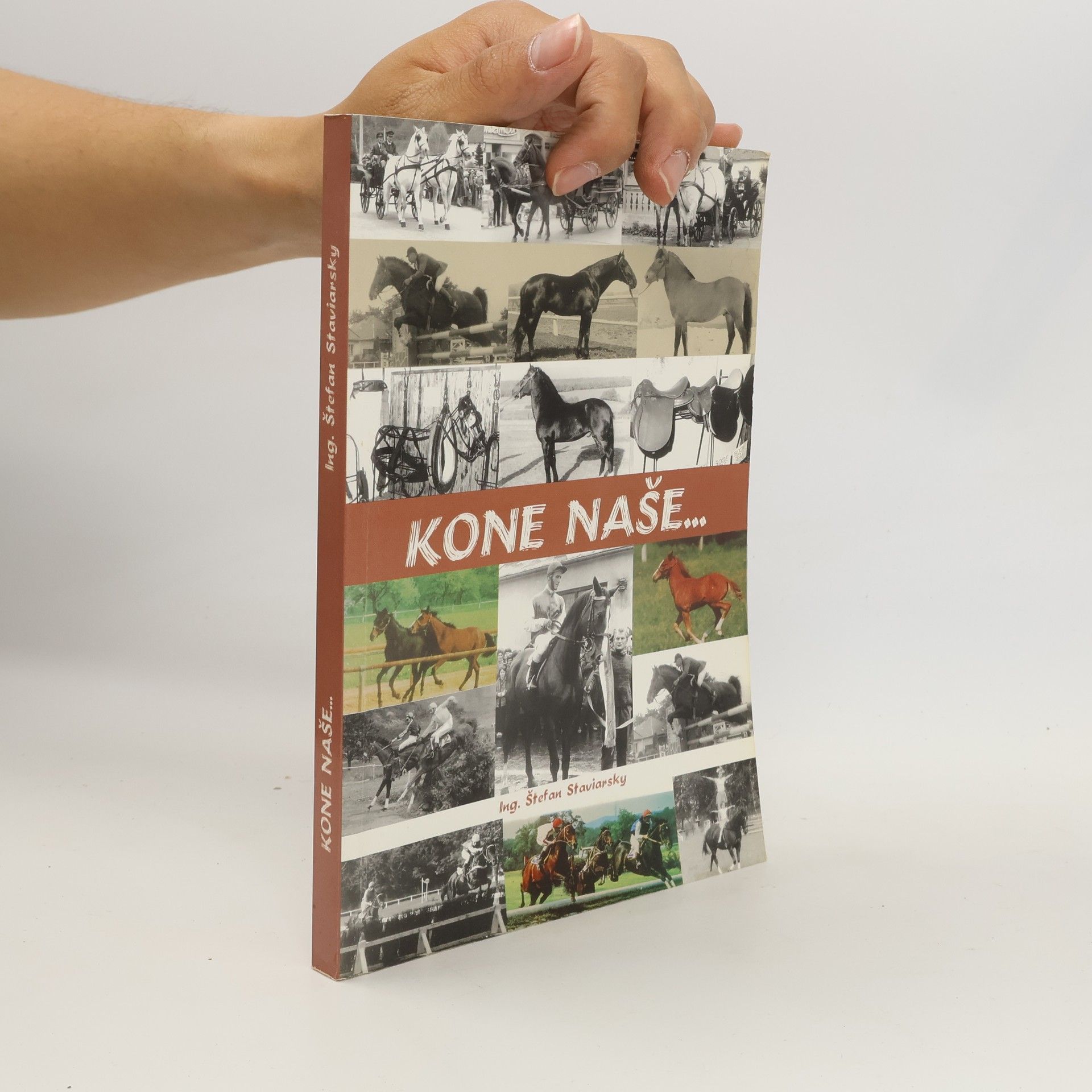 Various authors Kone naše...