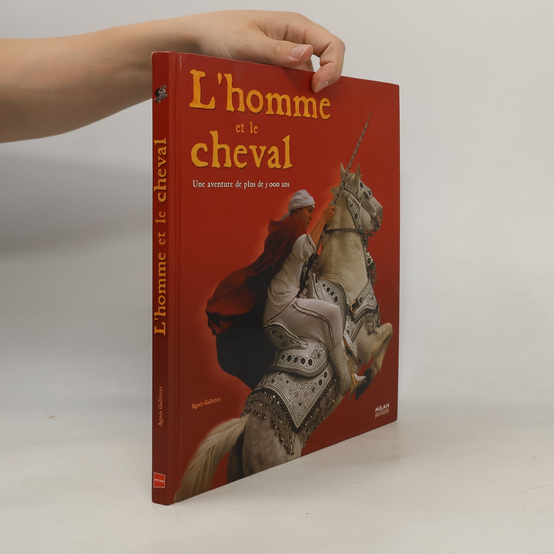 Agnès Galletier L'homme et le cheval