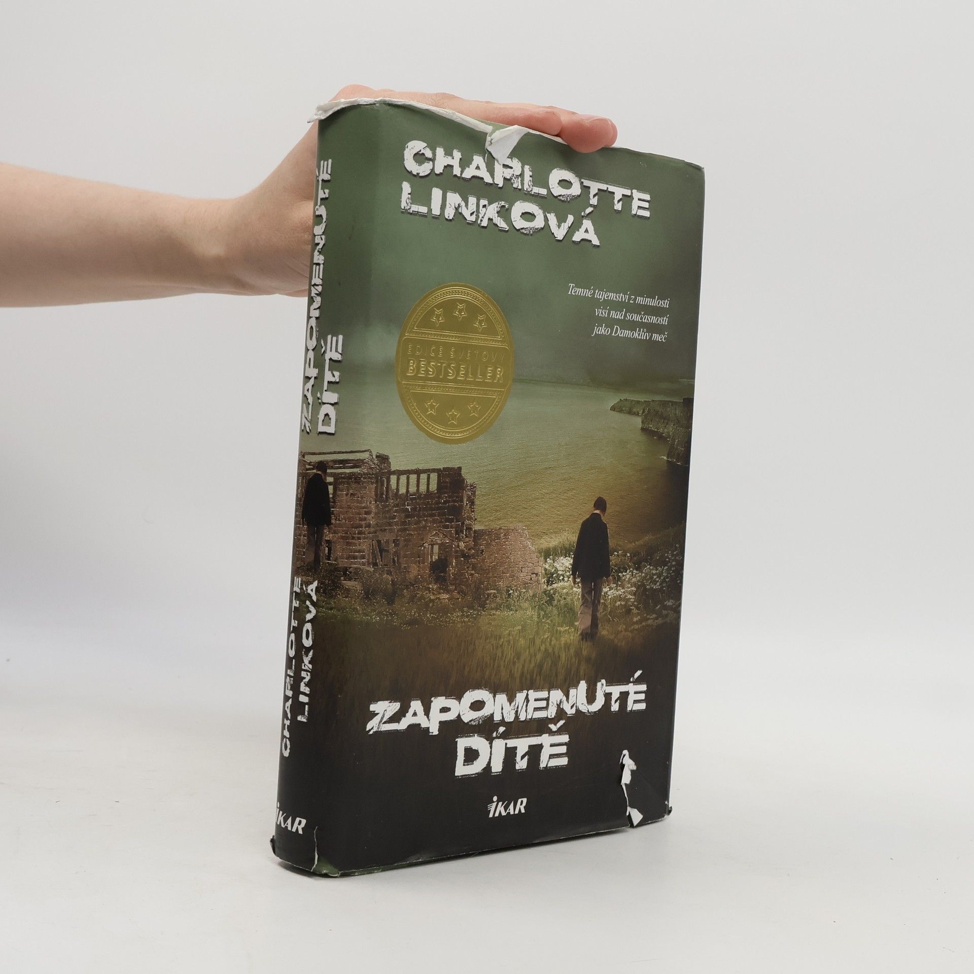 Charlotte Link Zapomenuté dítě