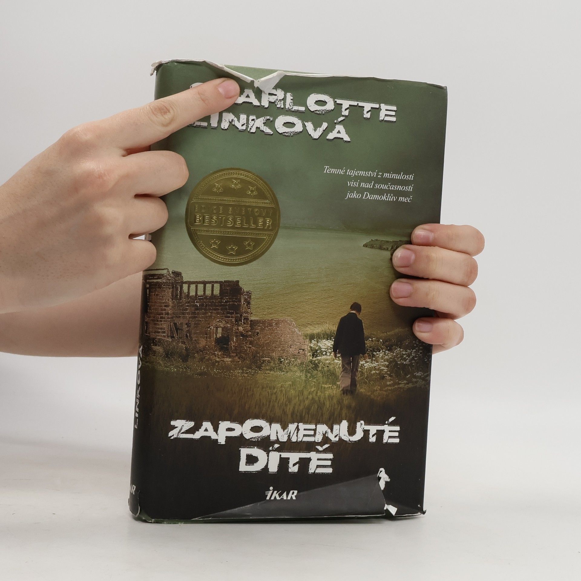 Charlotte Link Zapomenuté dítě