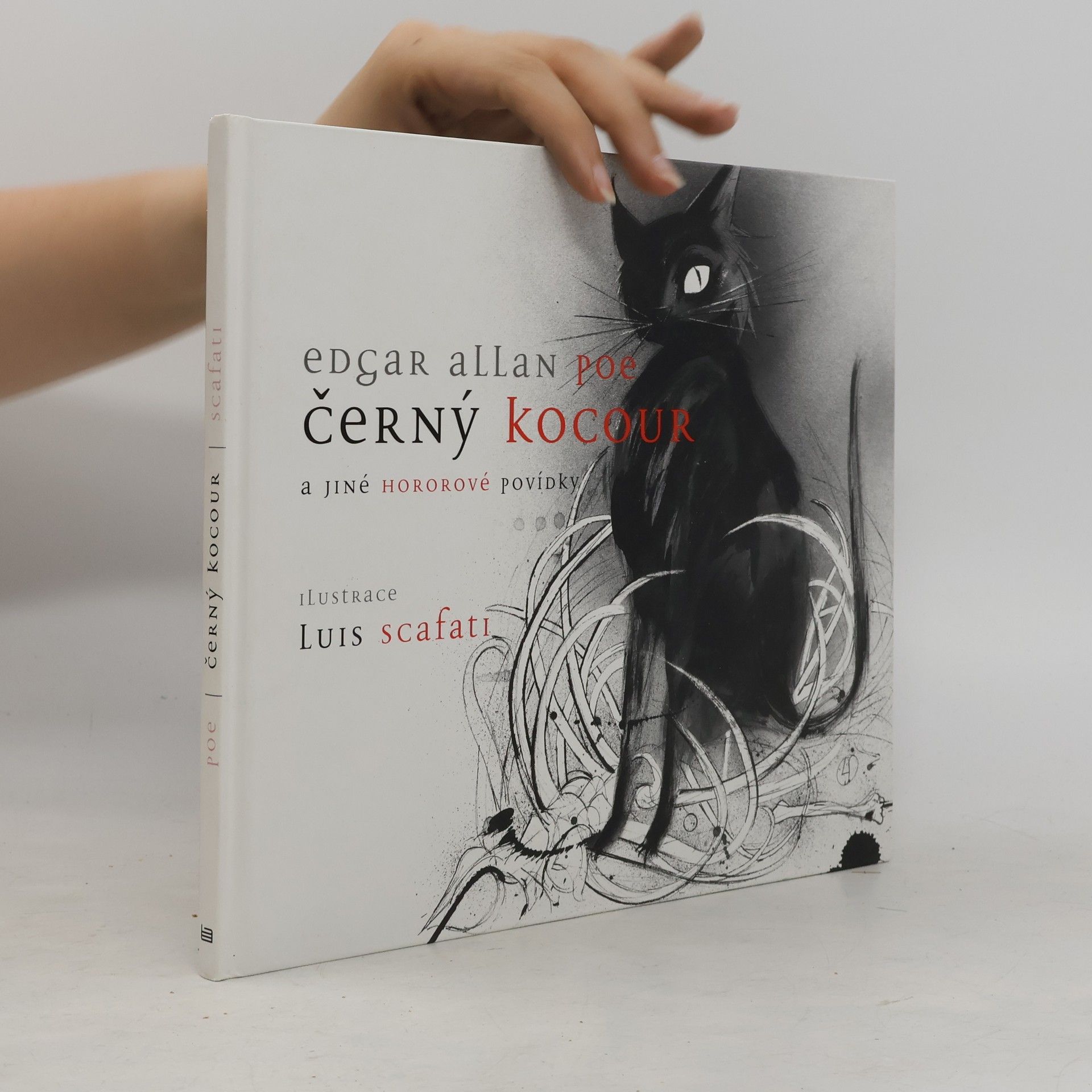 Edgar Allan Poe Černý kocour a jiné hororové povídky