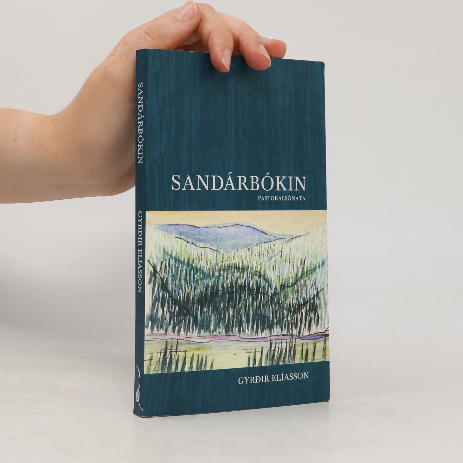 Gyrðir Elíasson Sandárbókin