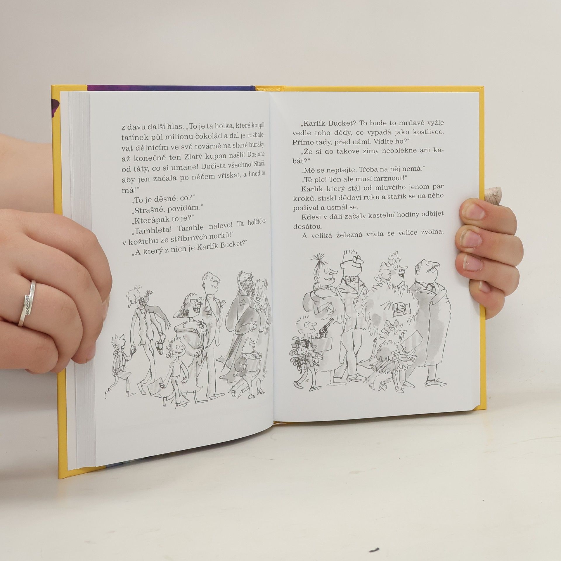 Roald Dahl Karlík a továrna na čokoládu