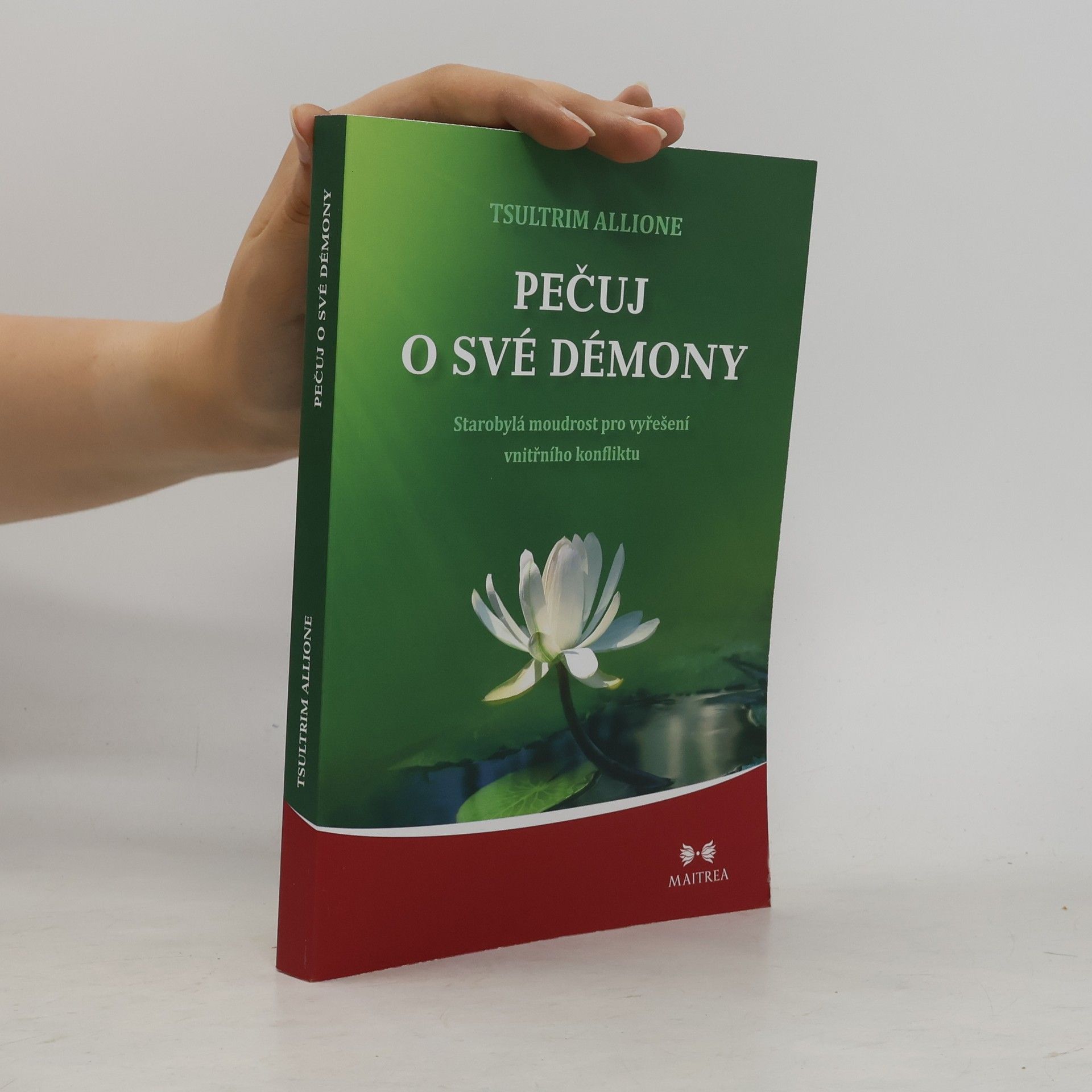 Tsultrim Allione Pečuj o své démony. Starobylá moudrost pro vyřešení vnitřního konfliktu