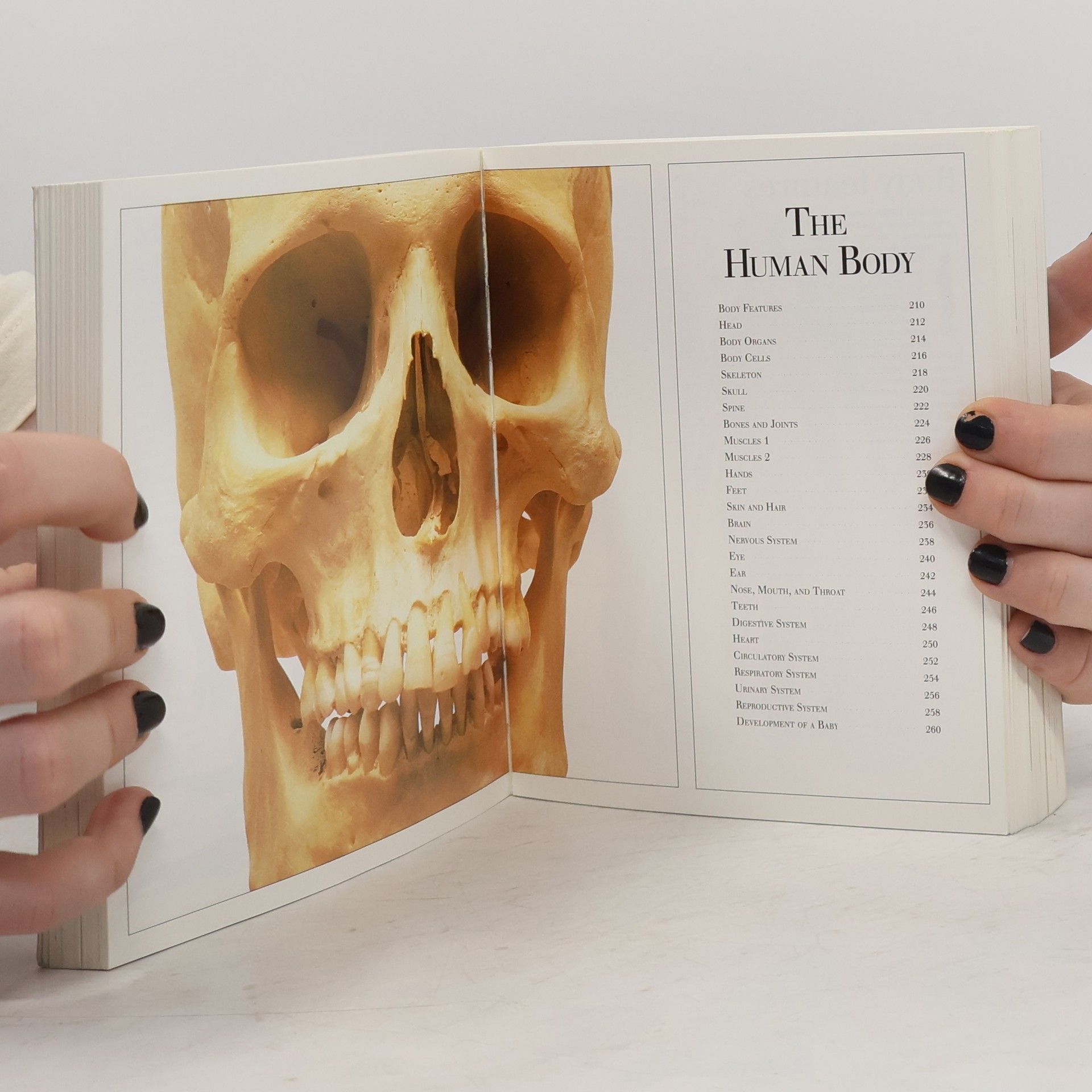 Autorenkollektiv Visual Encyclopedia