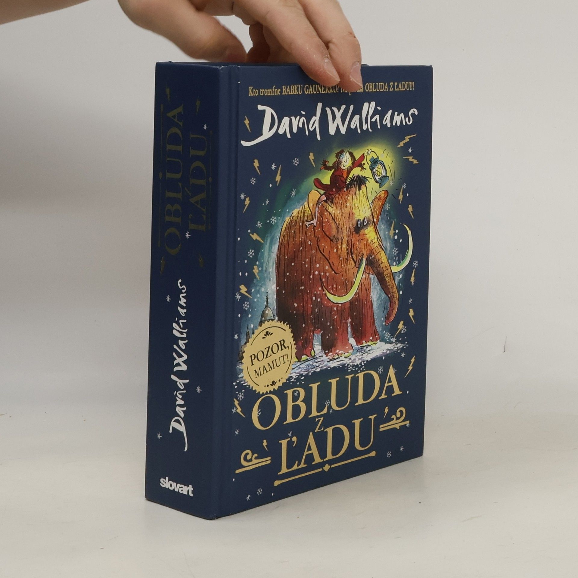 David Walliams Obluda z ľadu