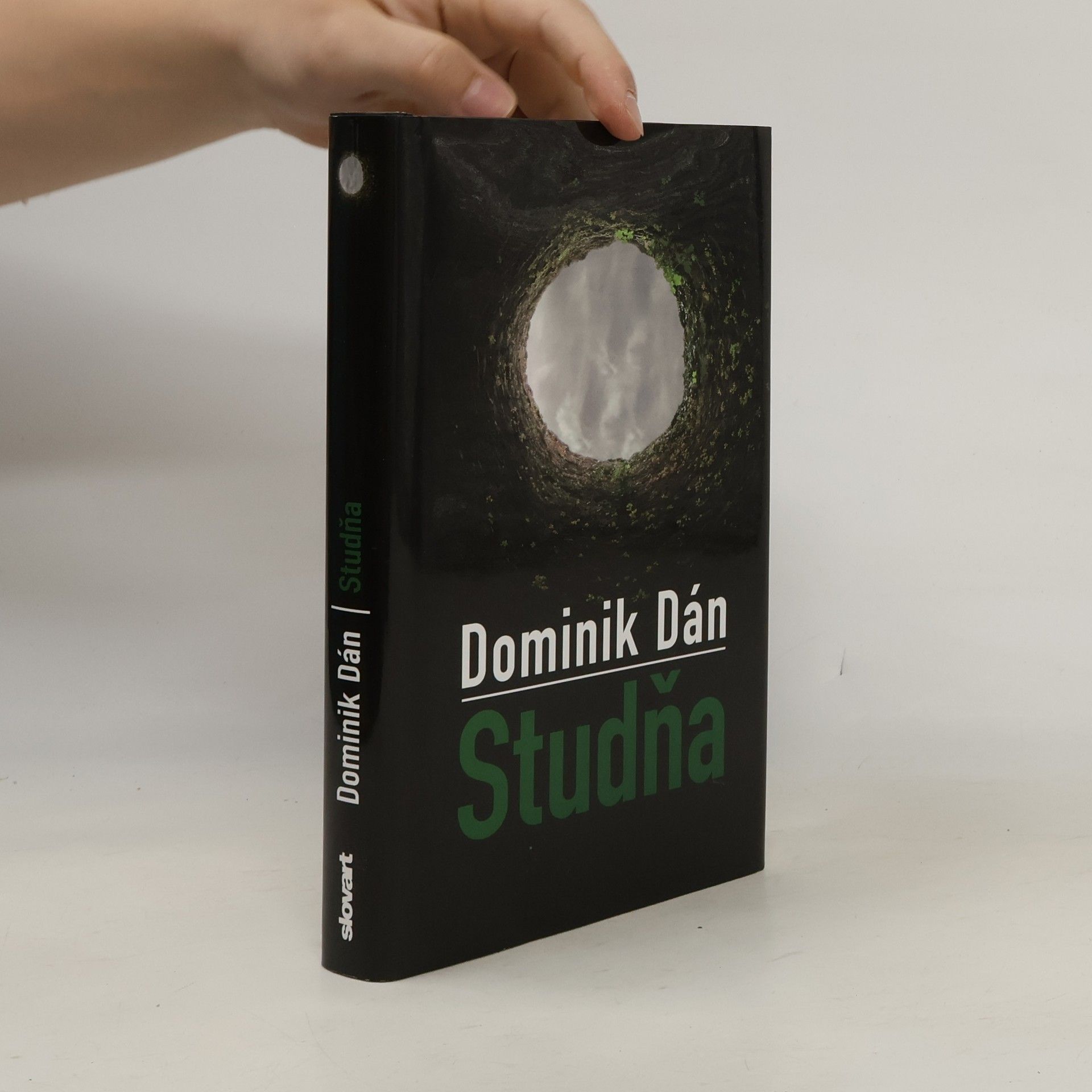 Dominik Dán Studňa
