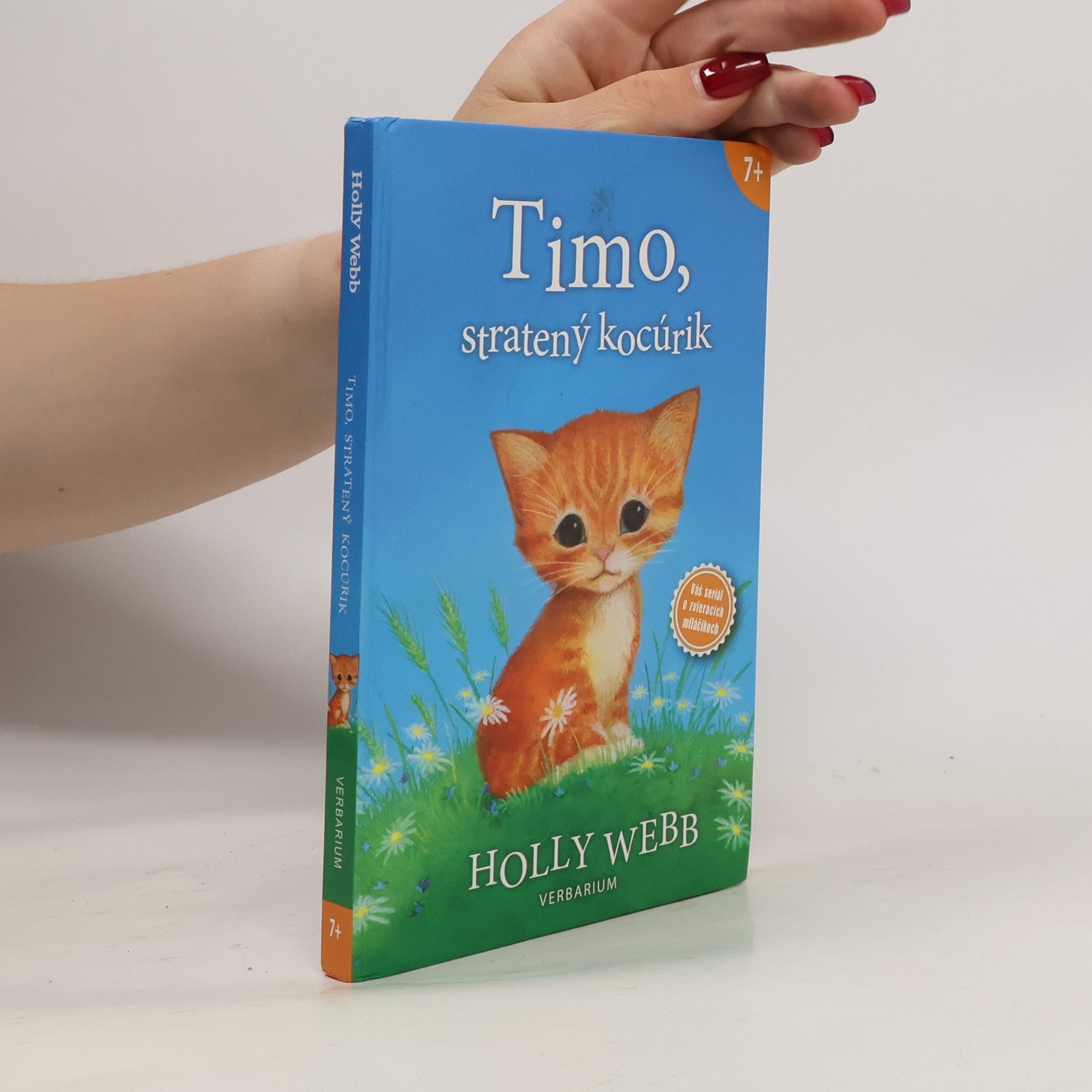 Holly Webb Timo, stratený kocúrik