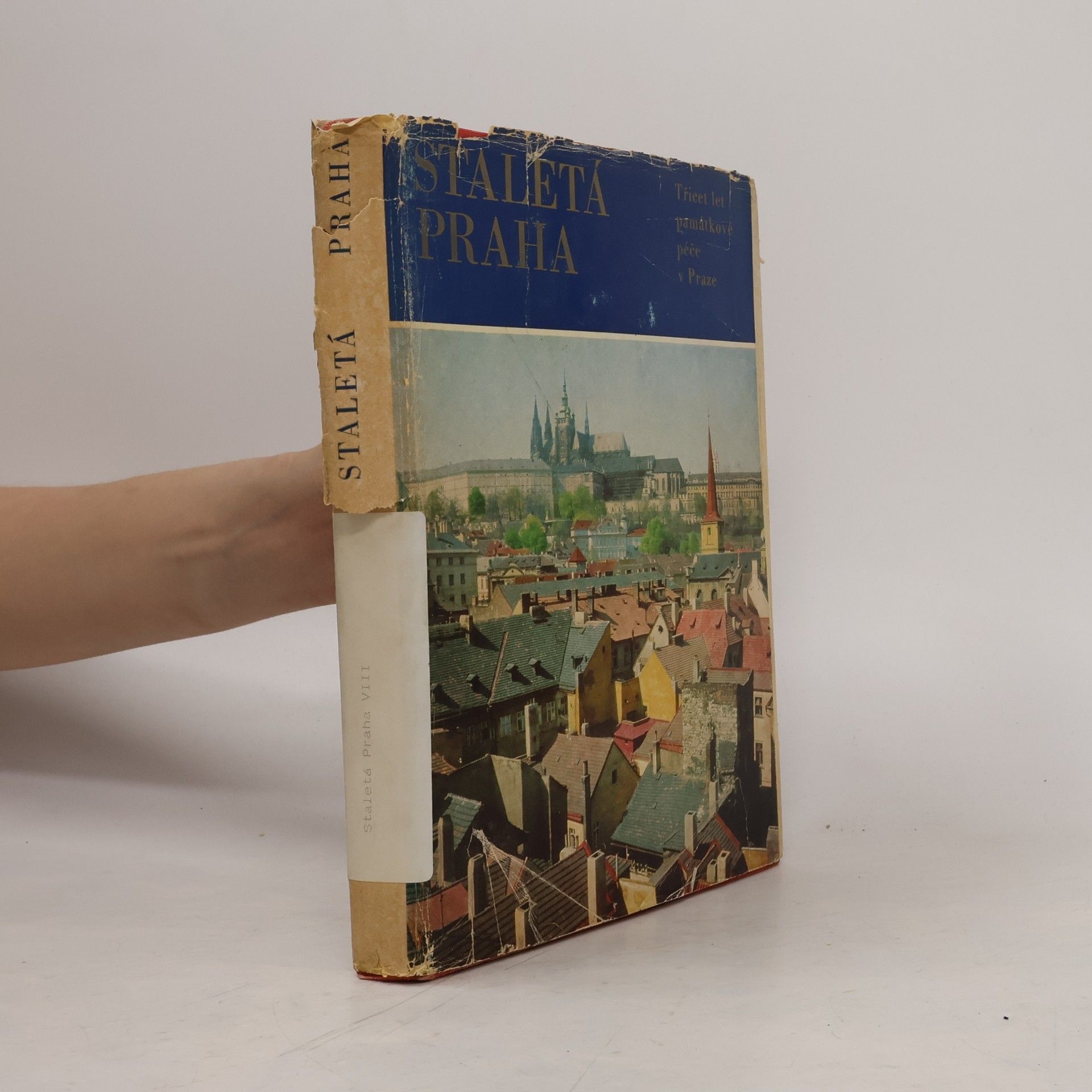 Zdislav Buříval Staletá Praha VIII