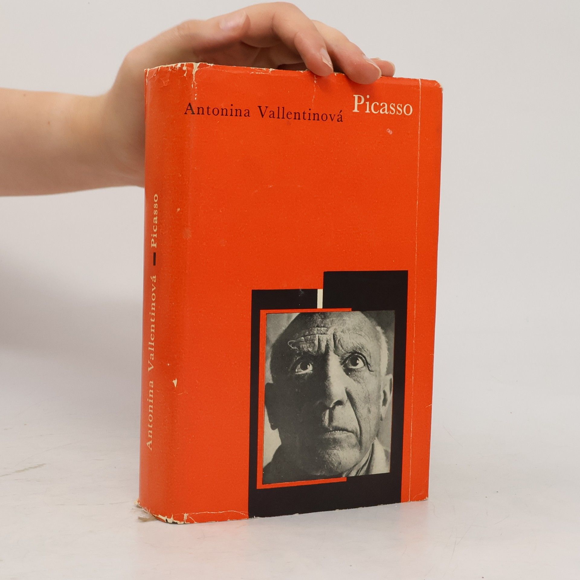 Antonina Vallentin Picasso