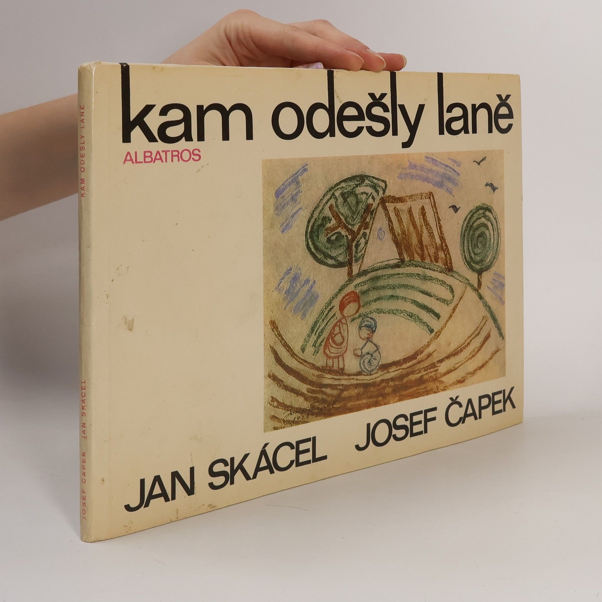 Jan Skácel Kam odešly laně