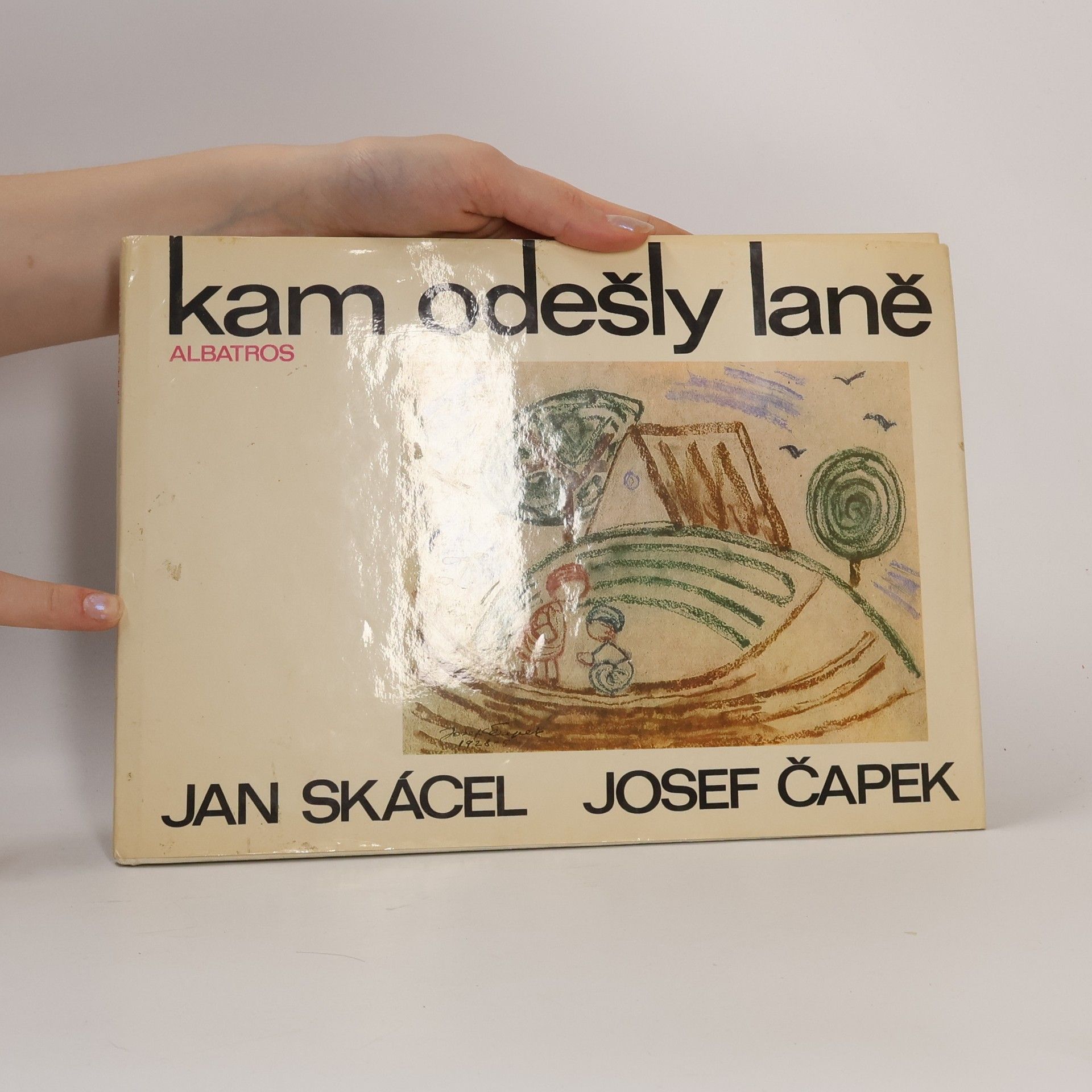 Jan Skácel Kam odešly laně