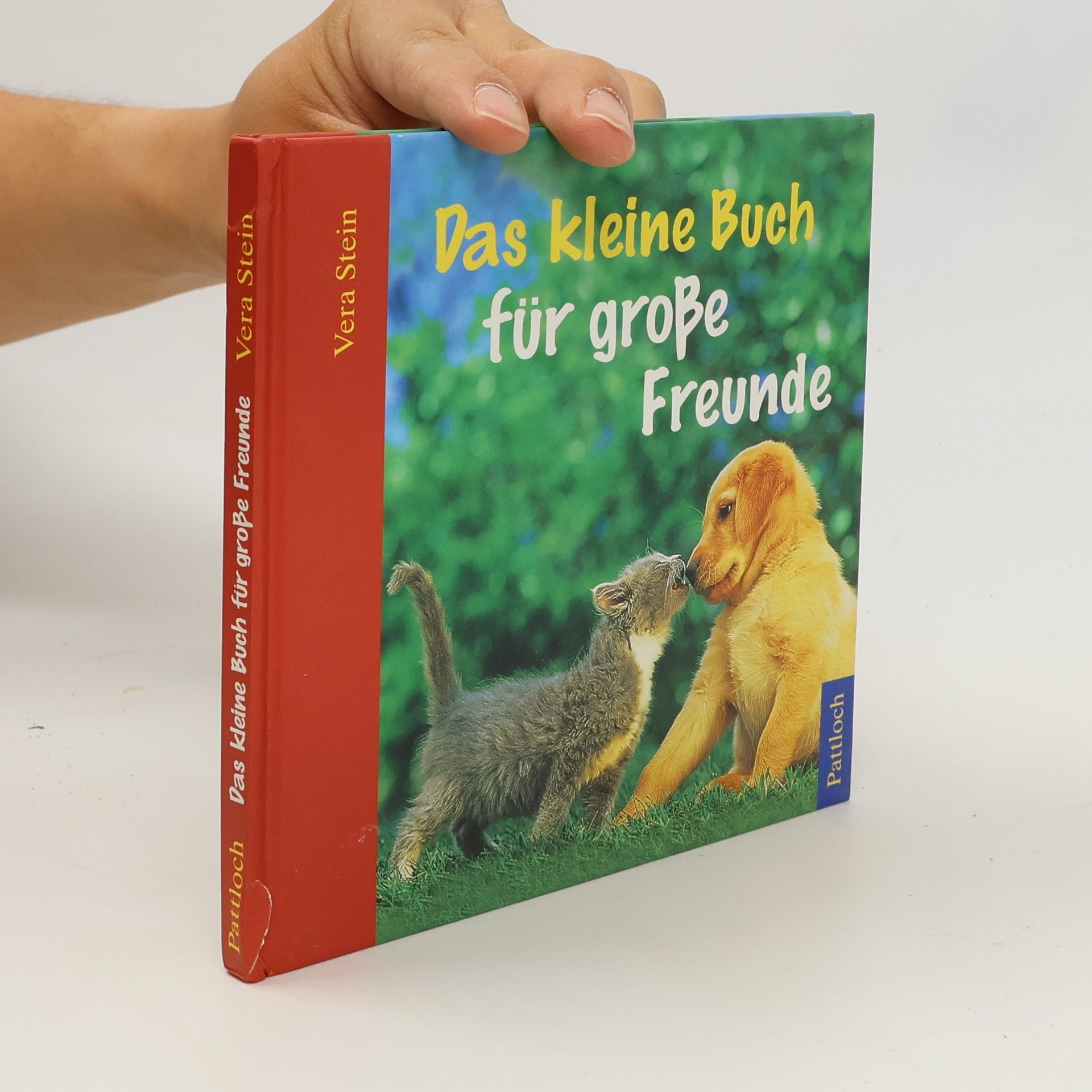 Vera Stein Das kleine Buch für große Freunde