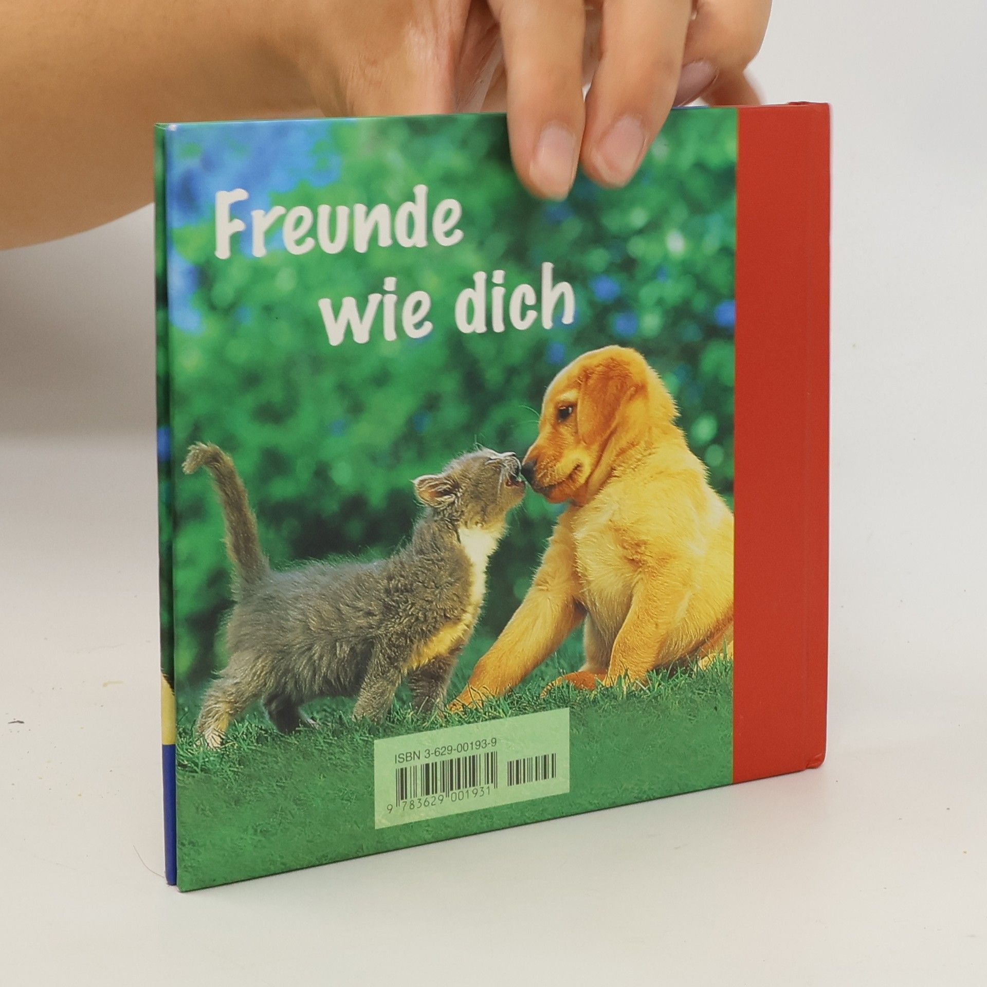 Vera Stein Das kleine Buch für große Freunde