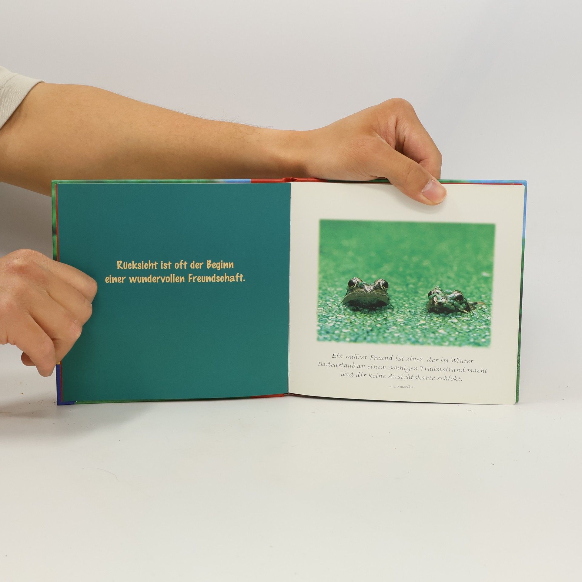 Vera Stein Das kleine Buch für große Freunde