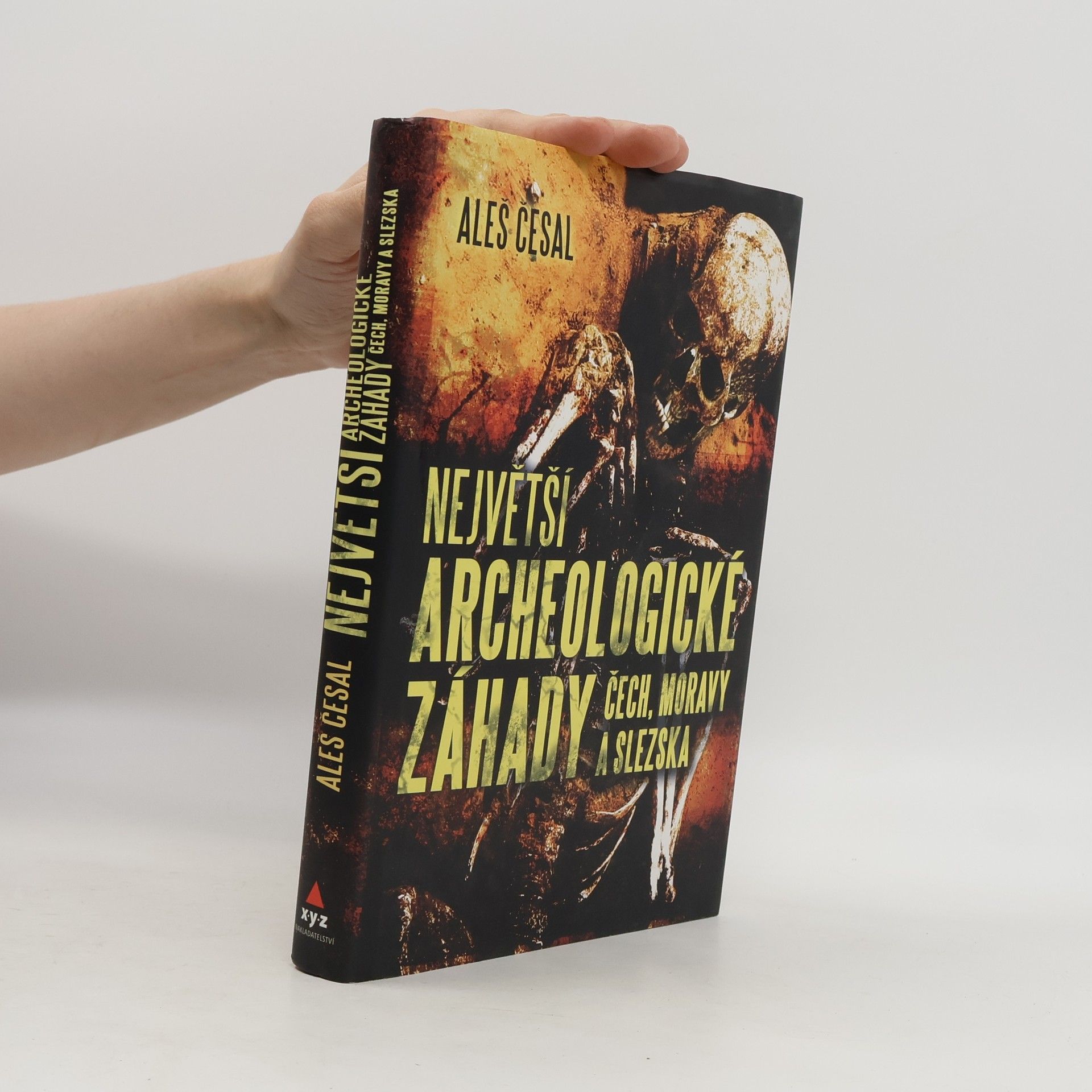 Aleš Česal Největší archeologické záhady Čech, Moravy a Slezska
