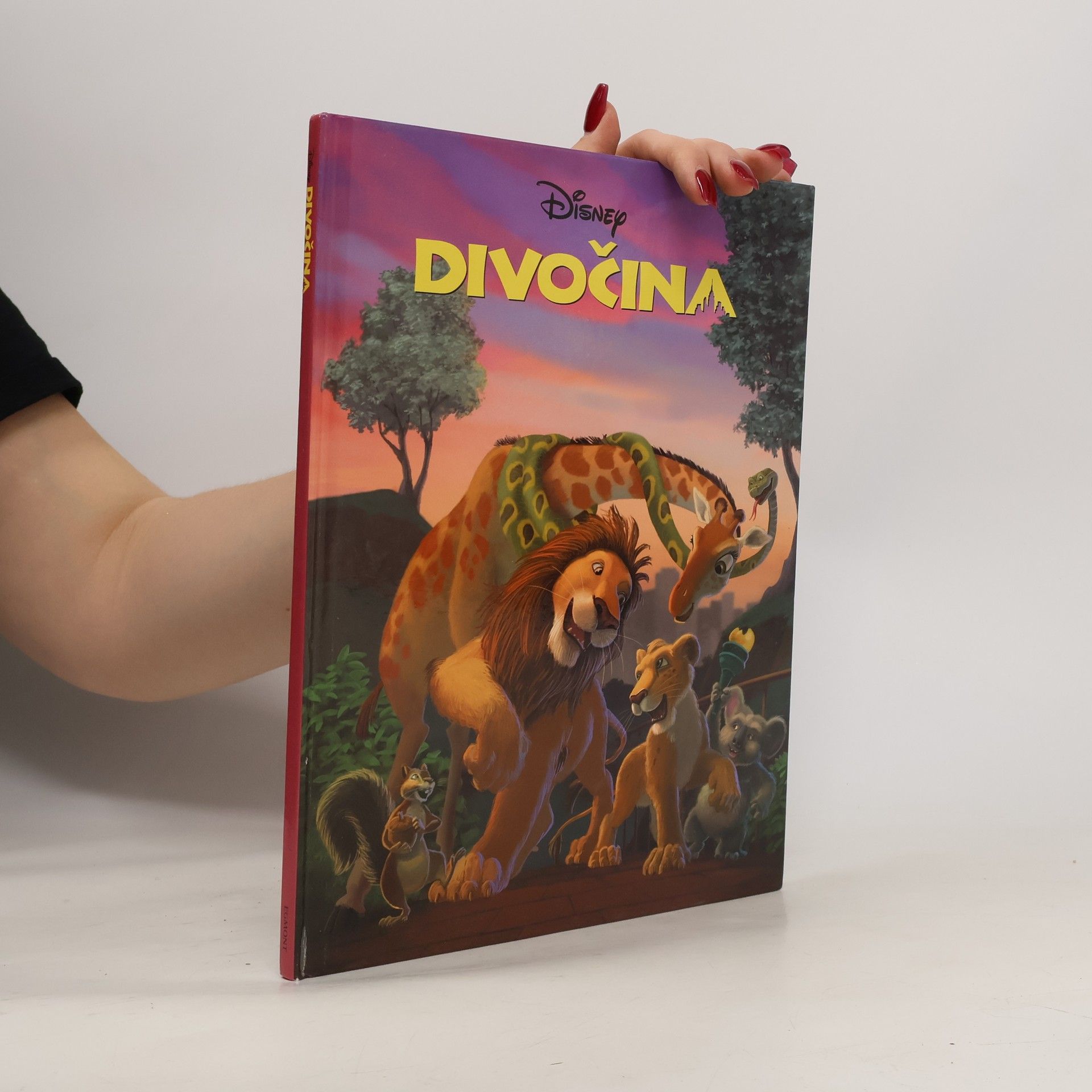 Autorenkollektiv Divočina