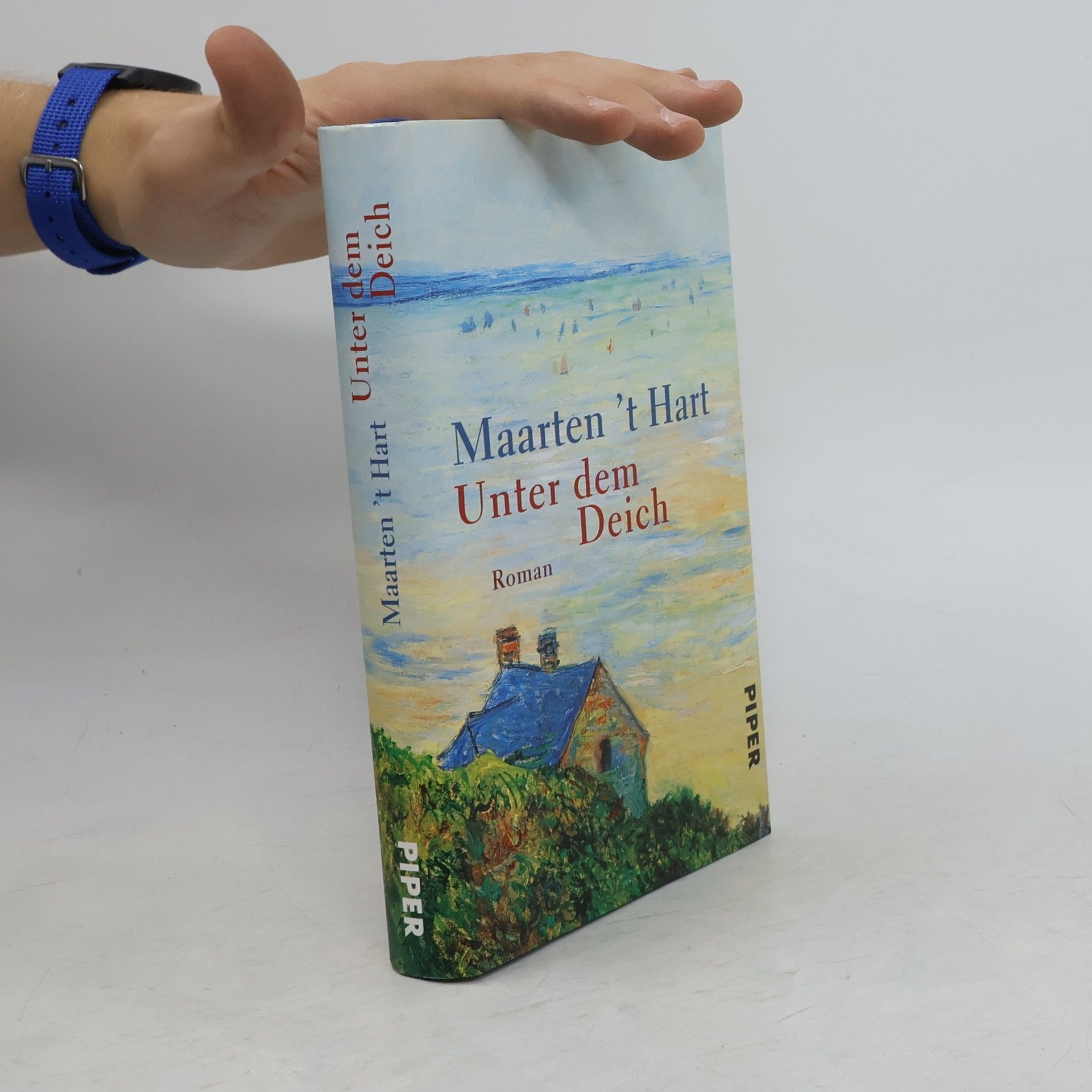 Maarten ’t Hart Unter dem Deich