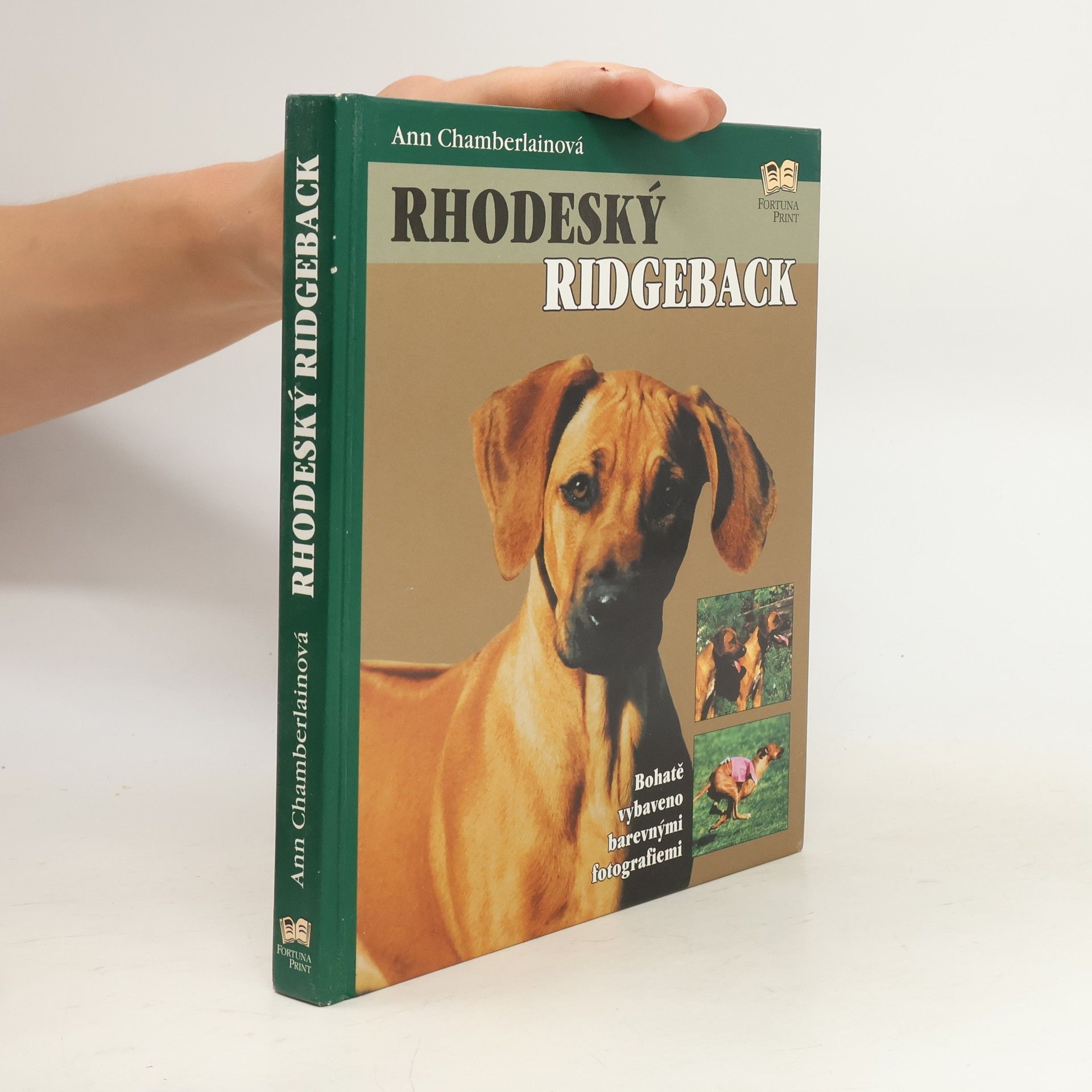 Ann Chamberlain Rhodeský ridgeback