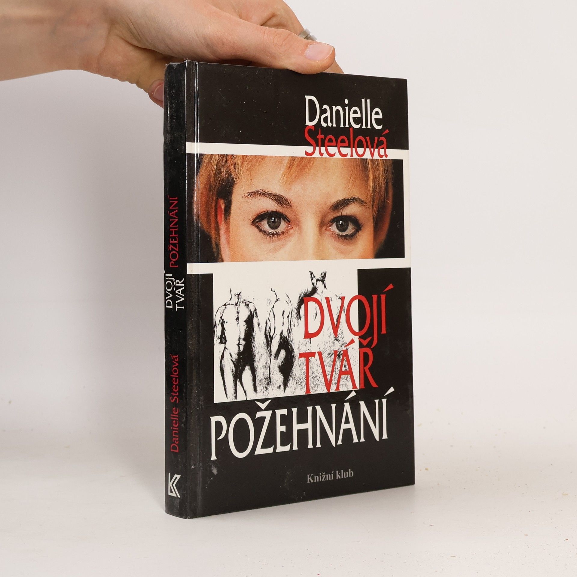 Danielle Steel Dvojí tvář požehnání