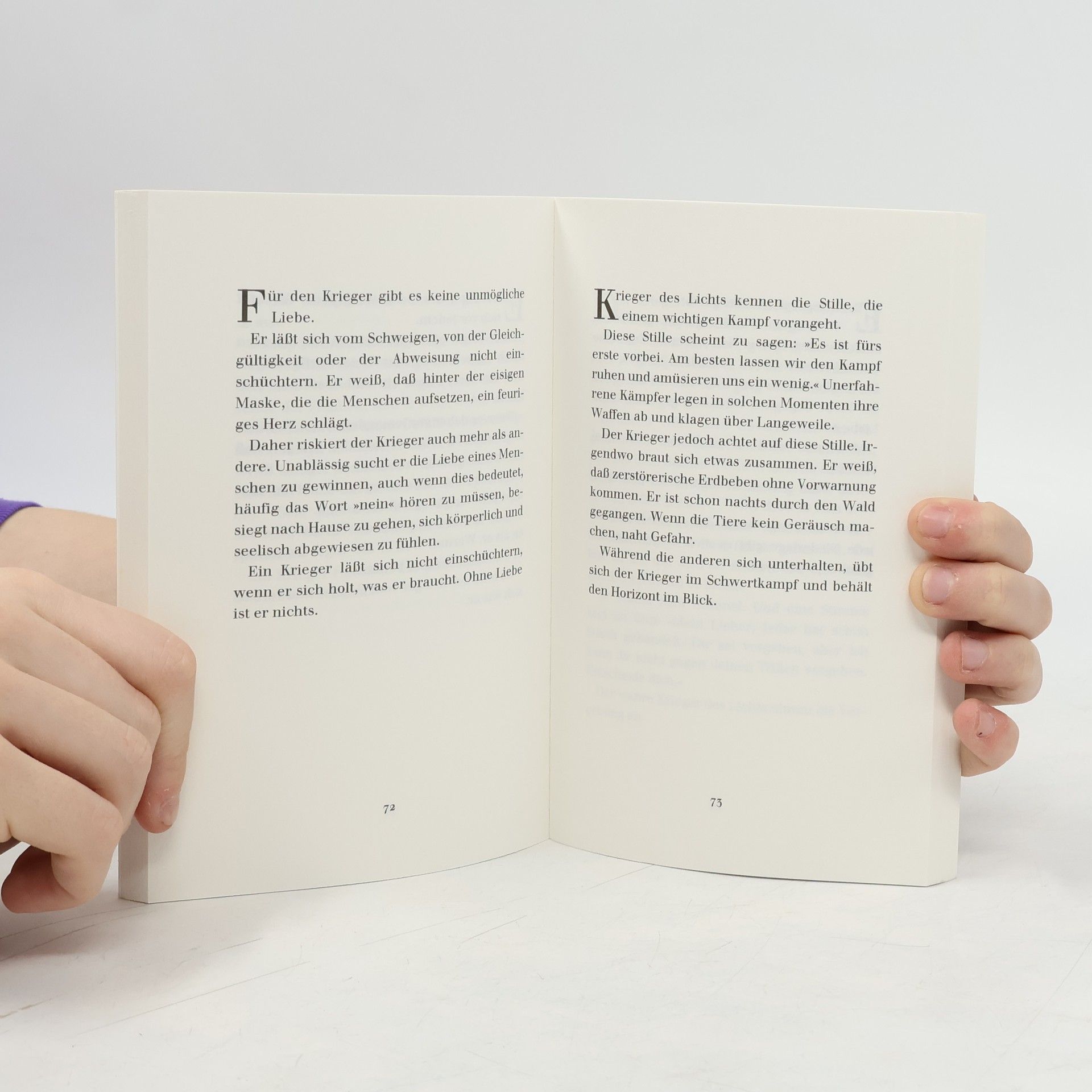 Paulo Coelho Handbuch des Kriegers des Lichts