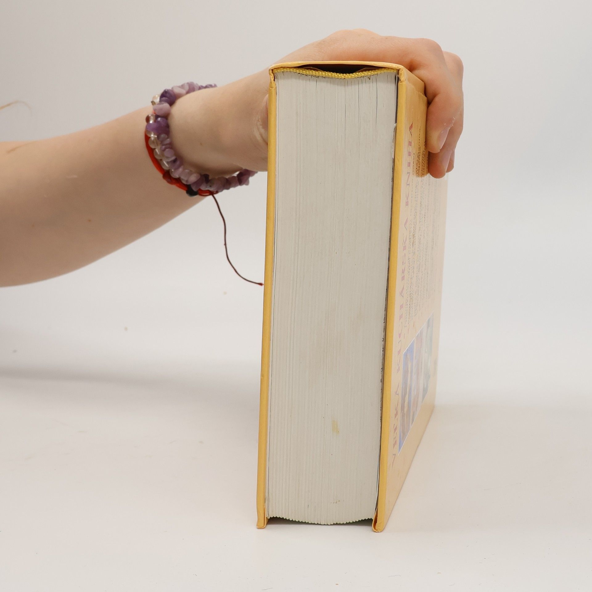 Various authors Veľká kuchárska kniha
