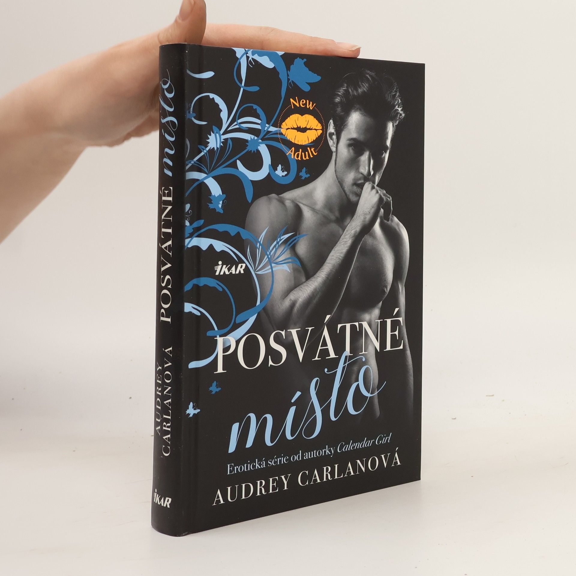 Audrey Carlan Posvátné místo