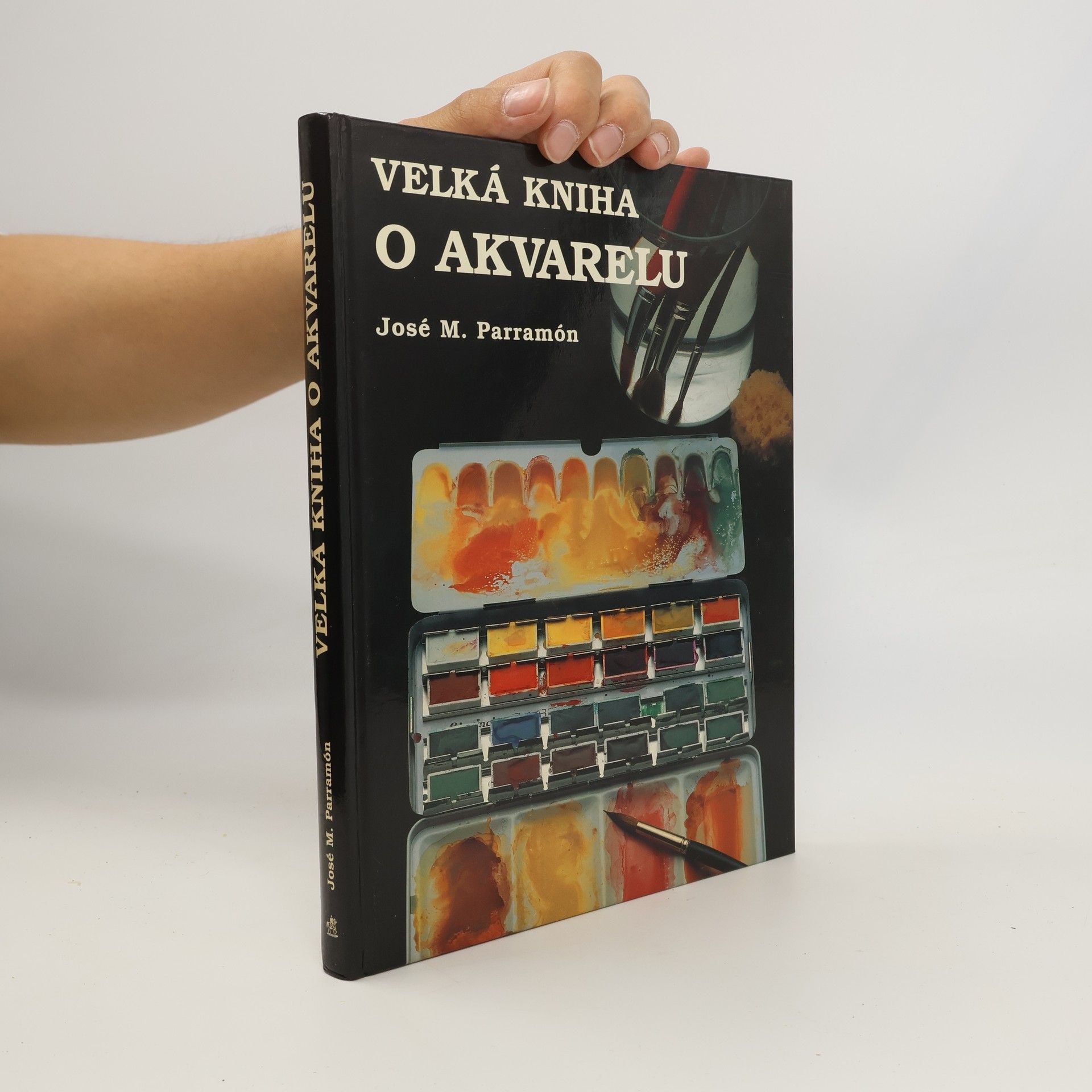 Magdalena Pechová Velká kniha o akvarelu