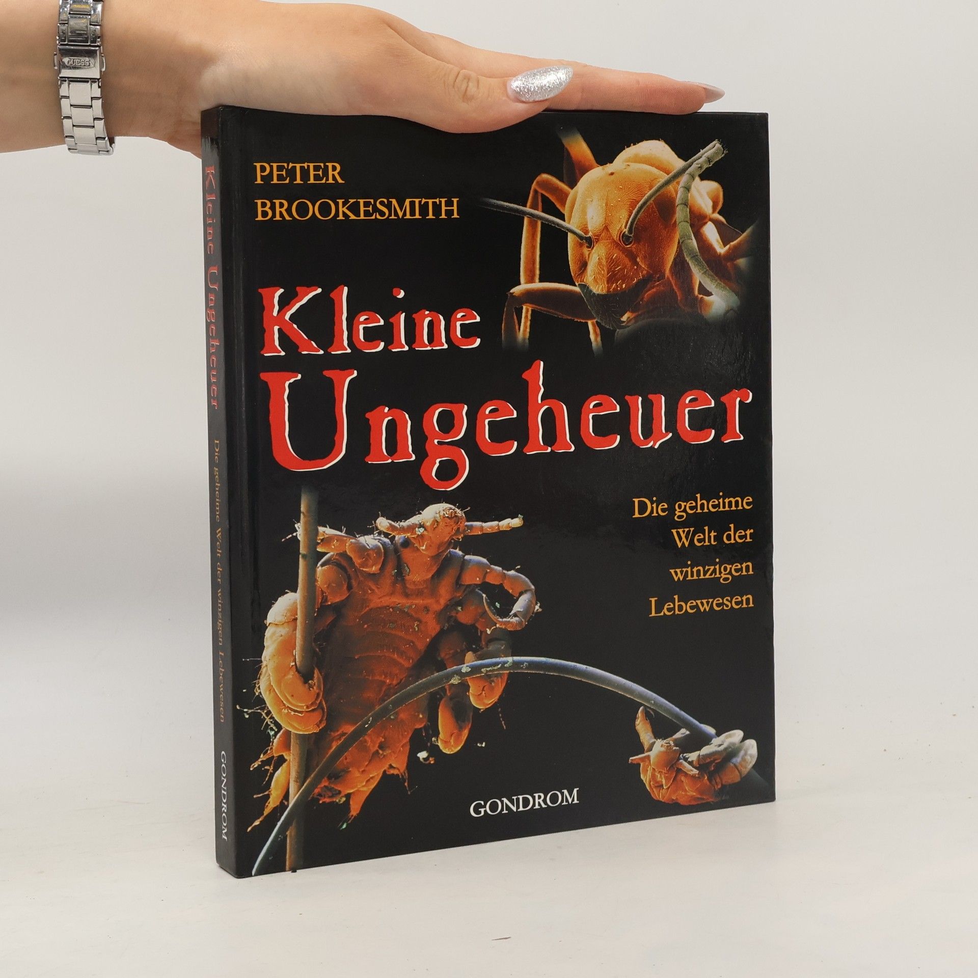 Kleine Ungeheuer