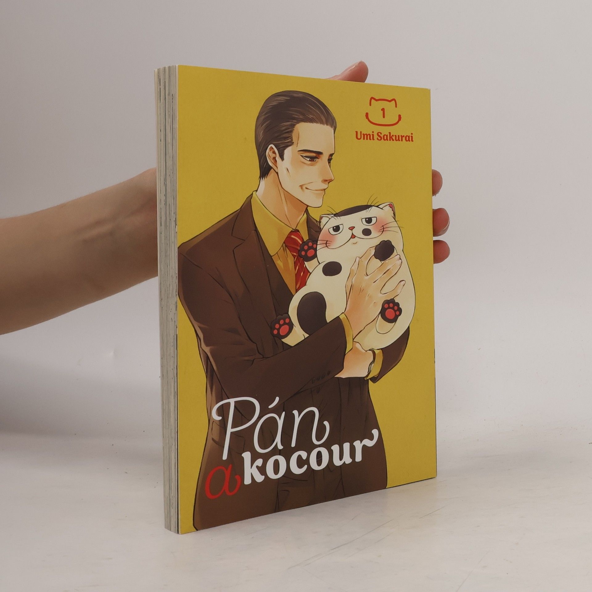 Umi Sakurai Pán a kocour 1