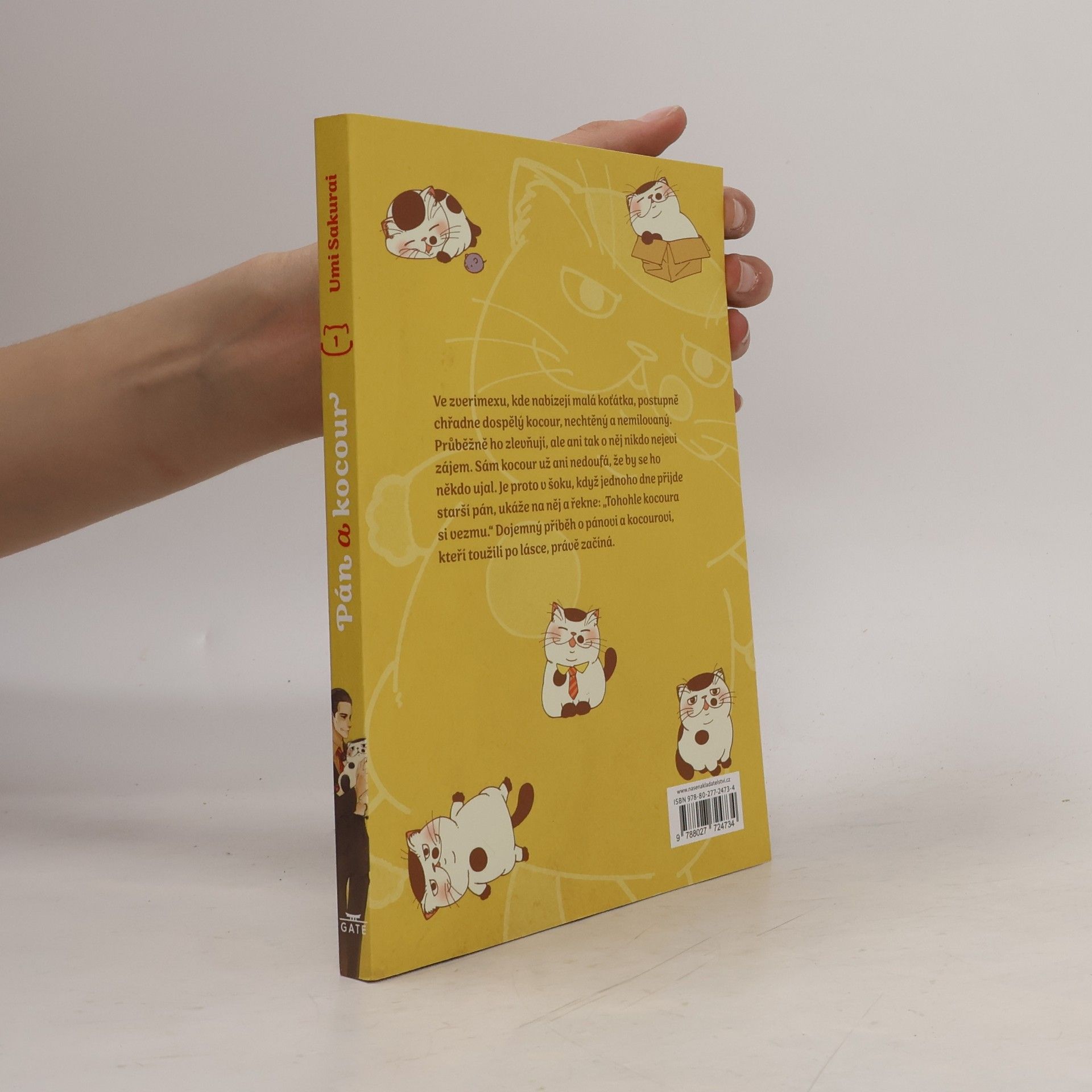 Umi Sakurai Pán a kocour 1