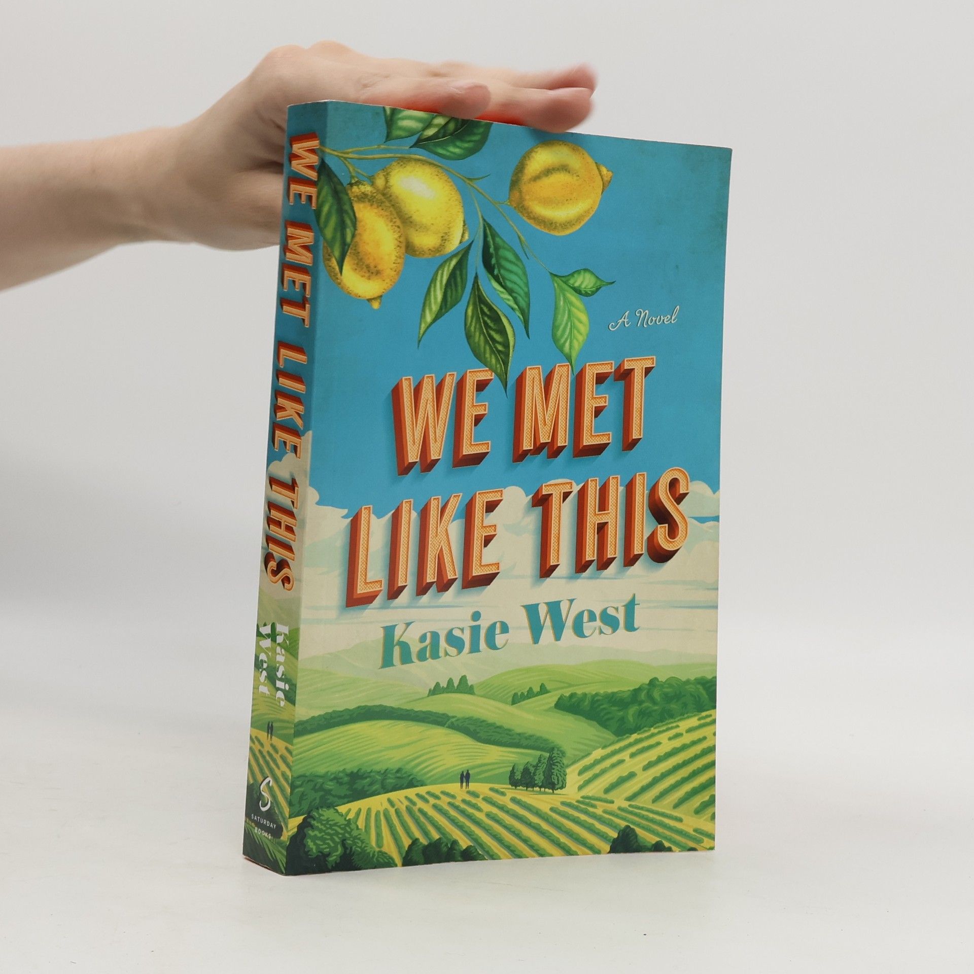 Kasie West We Met Like This: A Novel