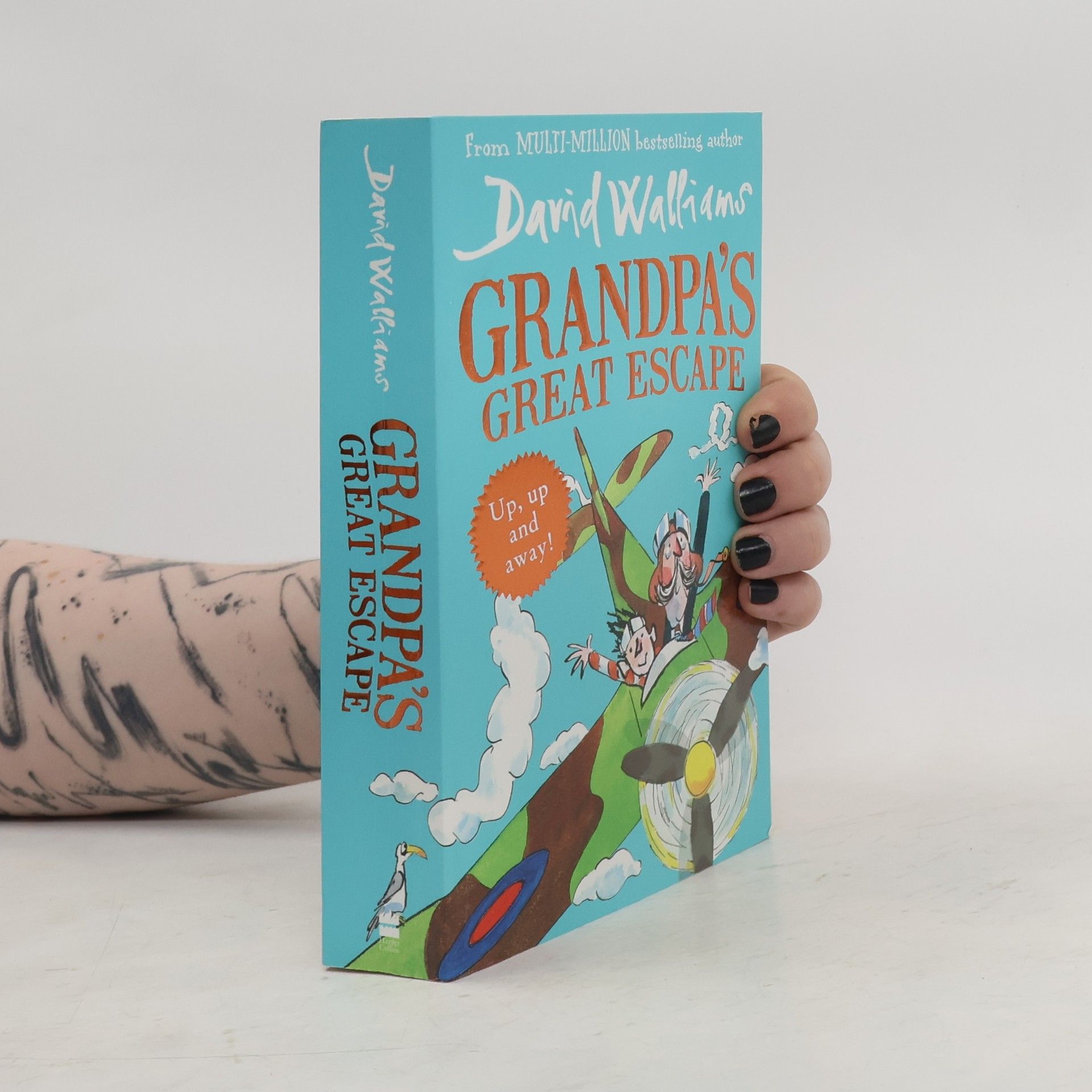 David Walliams Grandpa's Great Escape