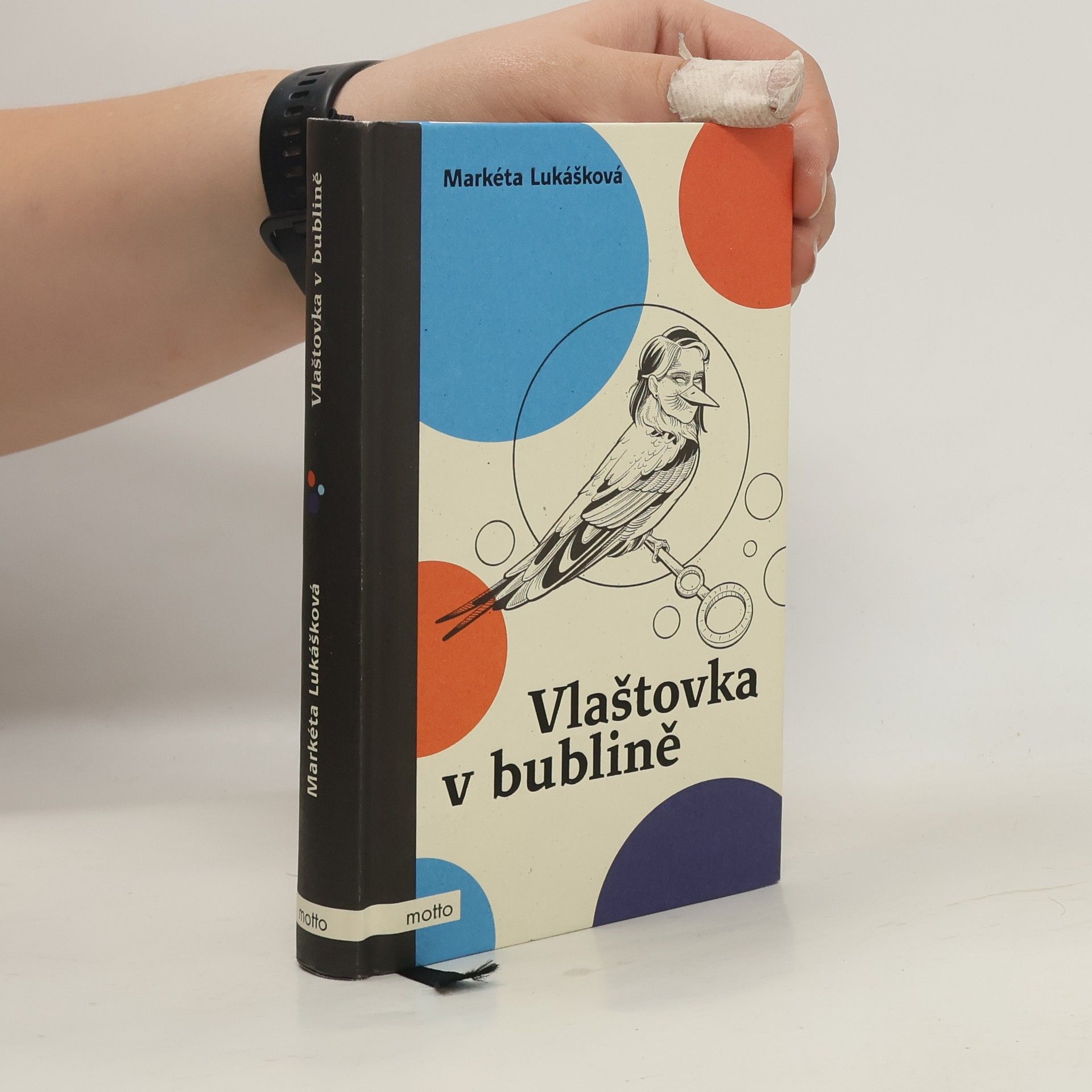 Markéta Lukášková Vlaštovka v bublině