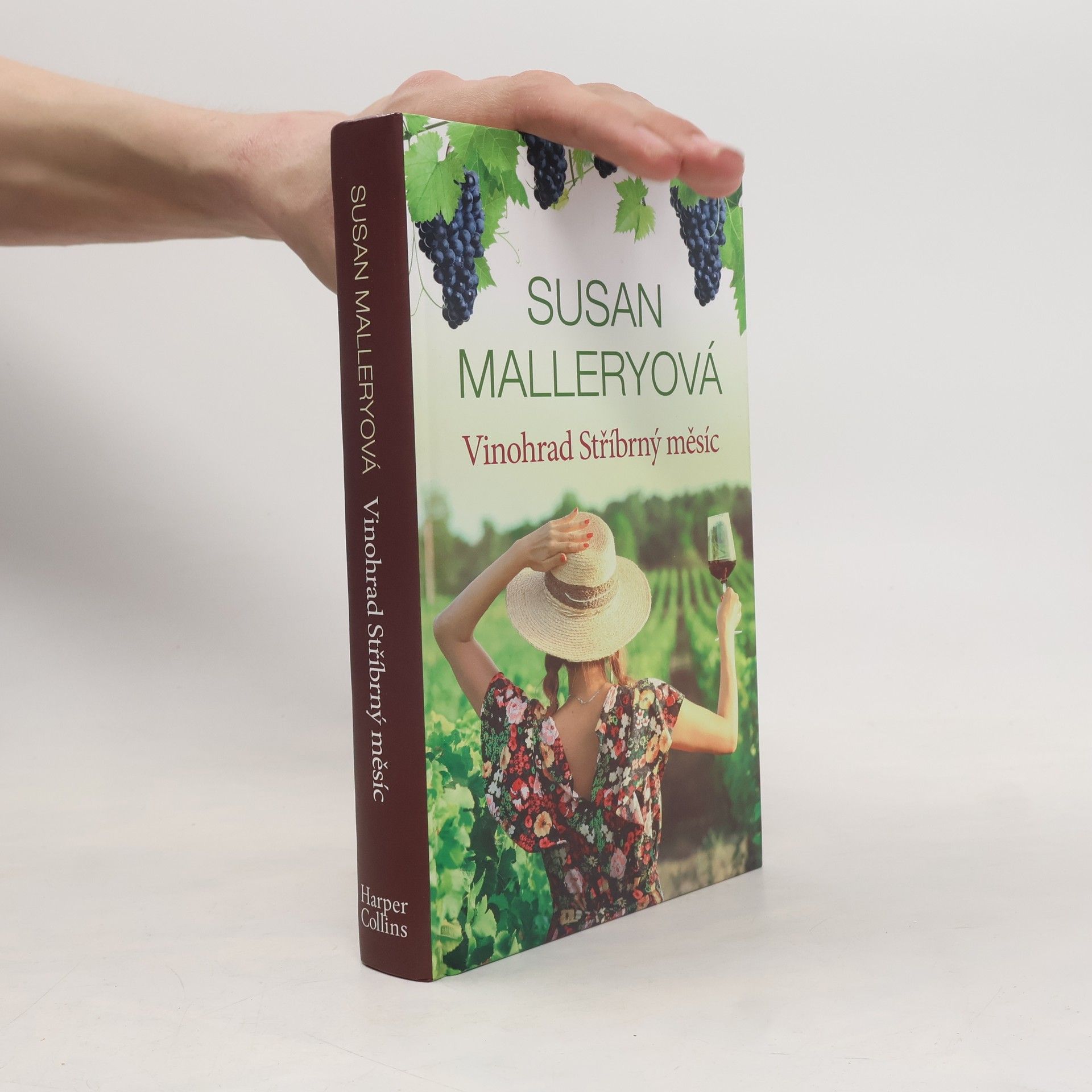 Susan Mallery Vinohrad Stříbrný měsíc