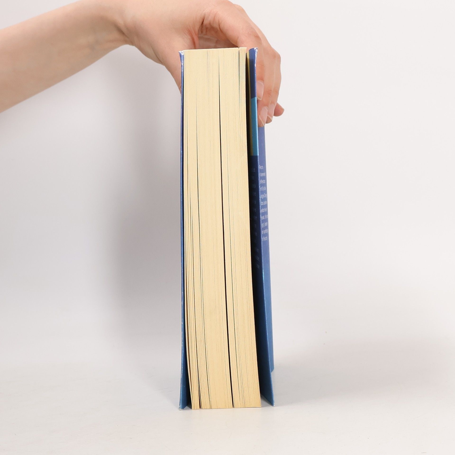 Jennifer Niven All die verdammt perfekten Tage
