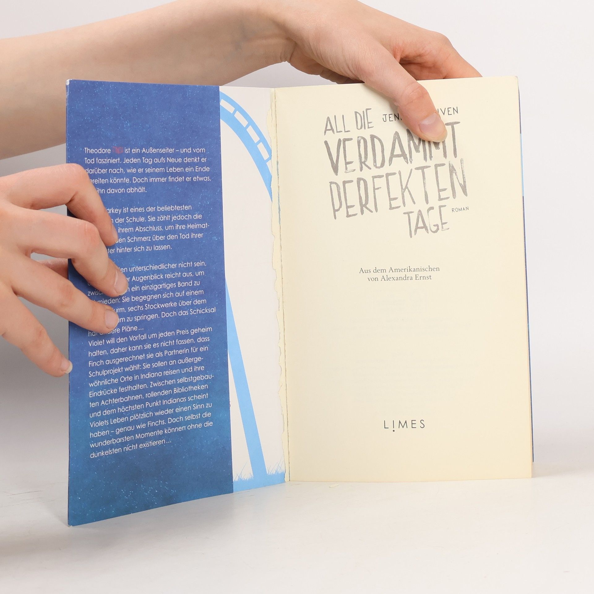 Jennifer Niven All die verdammt perfekten Tage