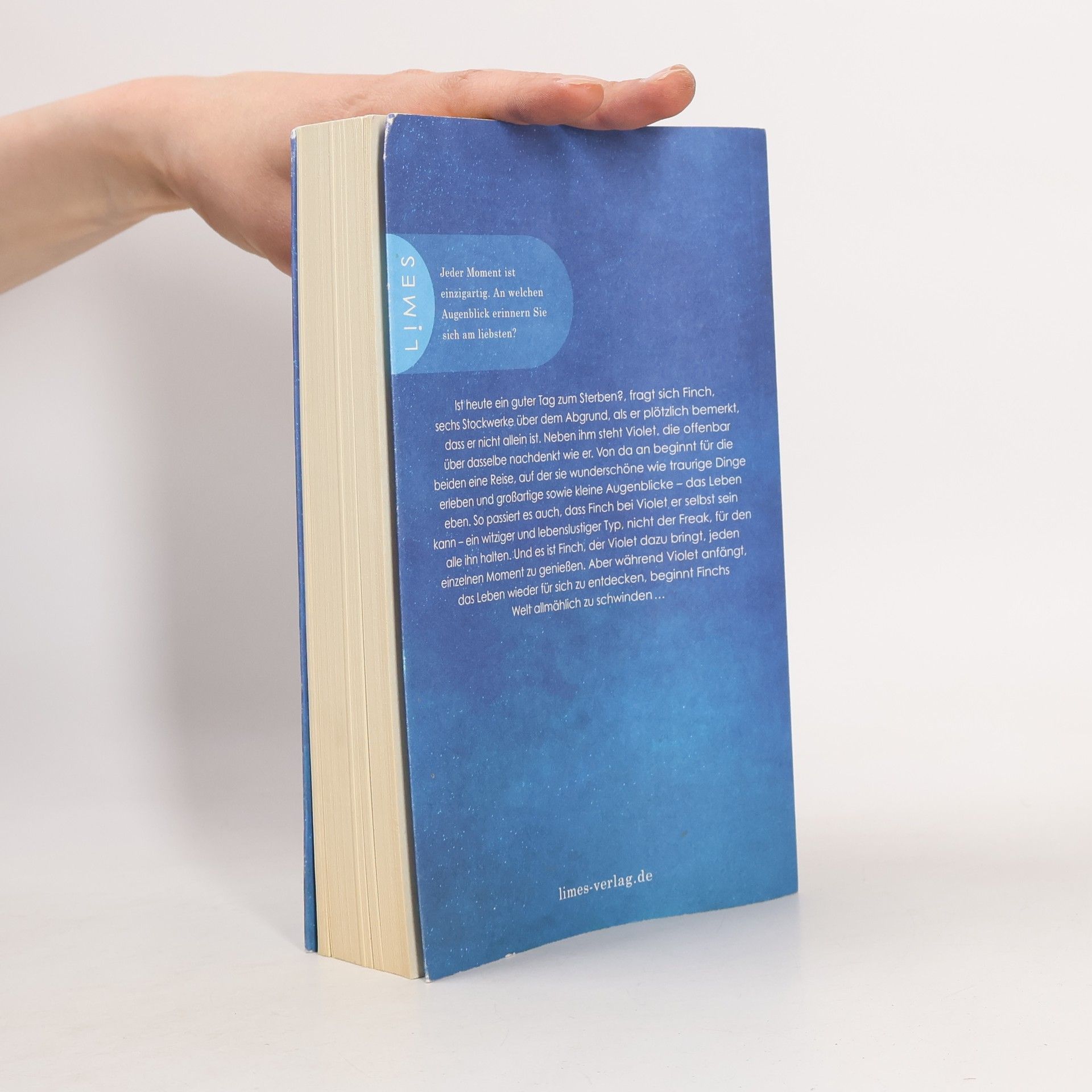 Jennifer Niven All die verdammt perfekten Tage