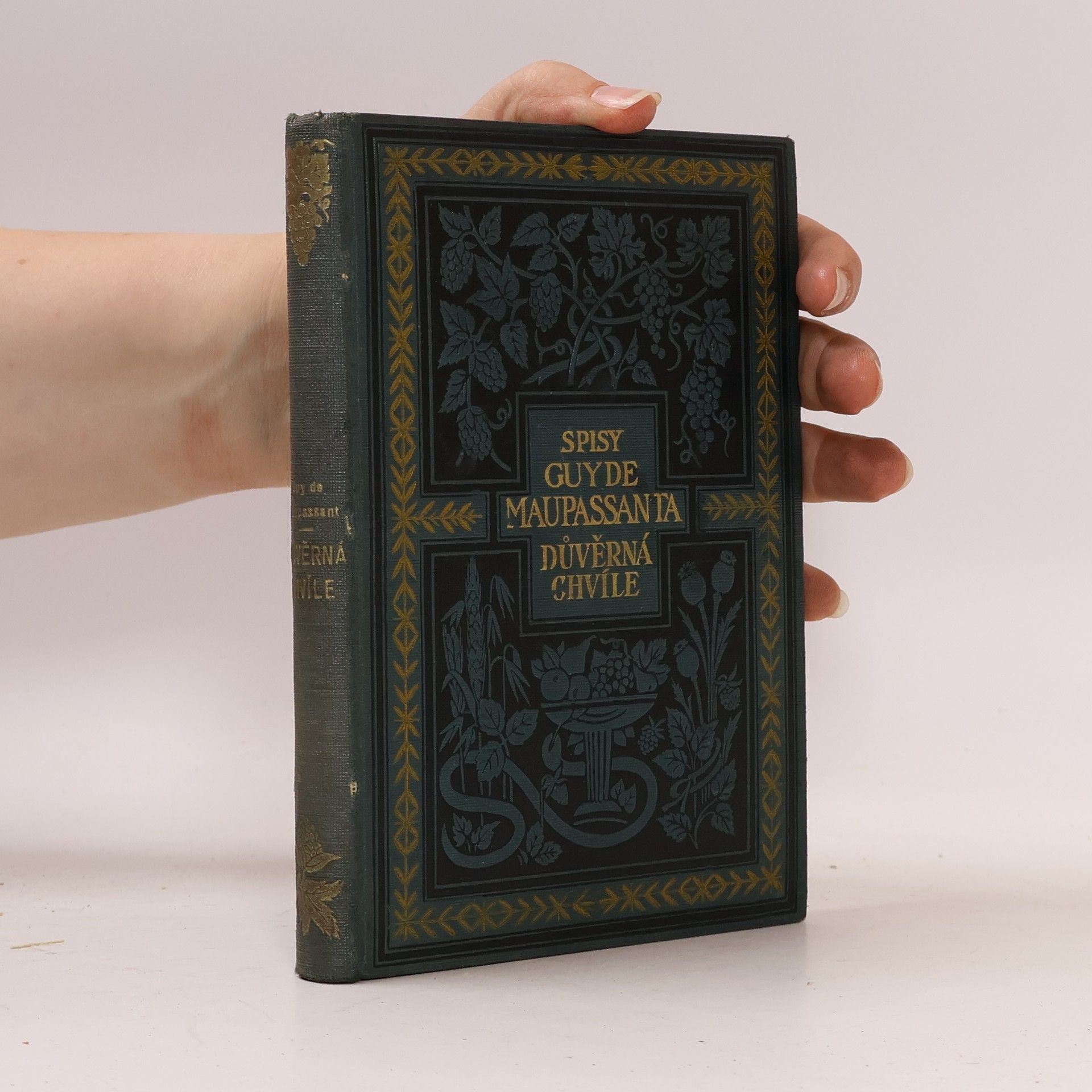Guy de Maupassant Důvěrná chvíle