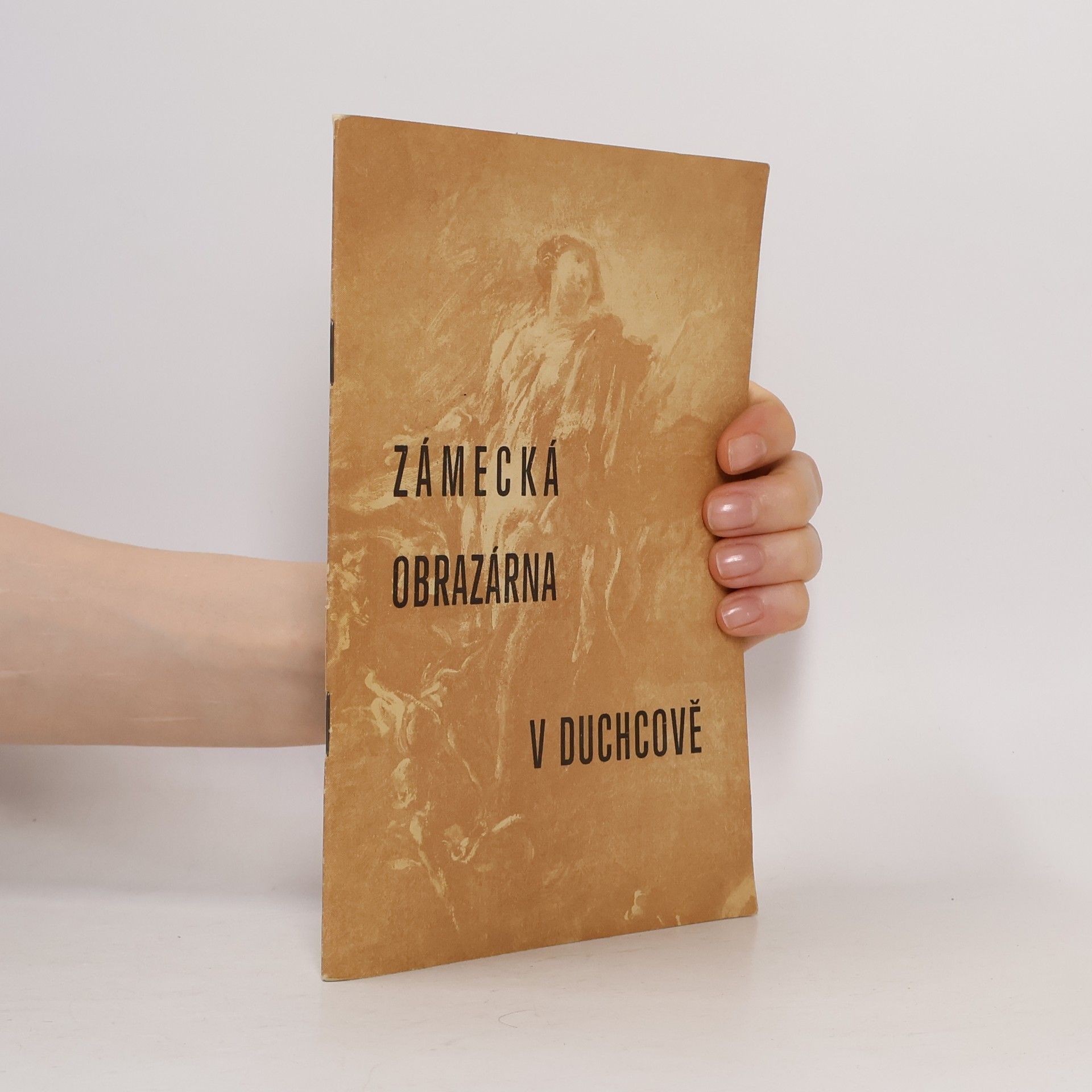 Eduard Alexandr Šafařík Zámecká obrazárna v Duchcově